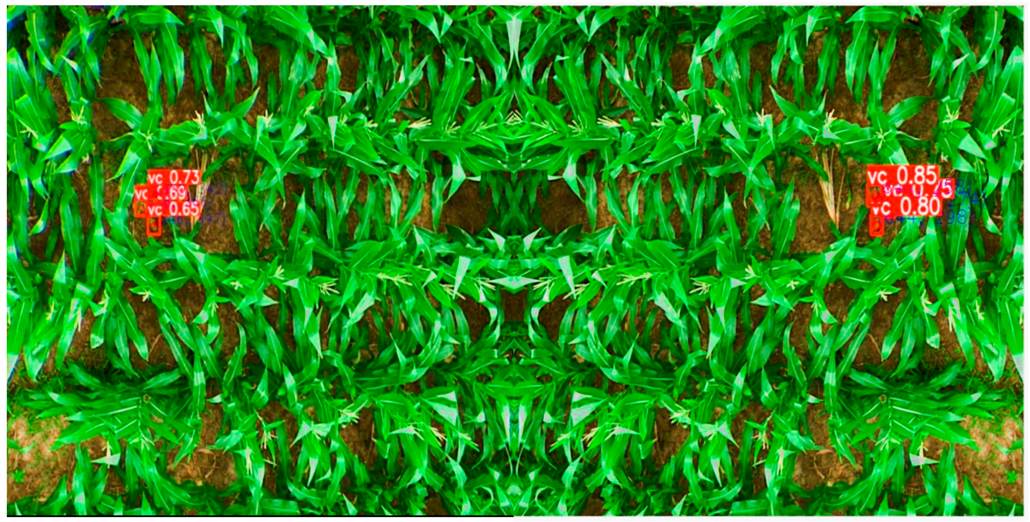 Remotesensing 16 02754 g010