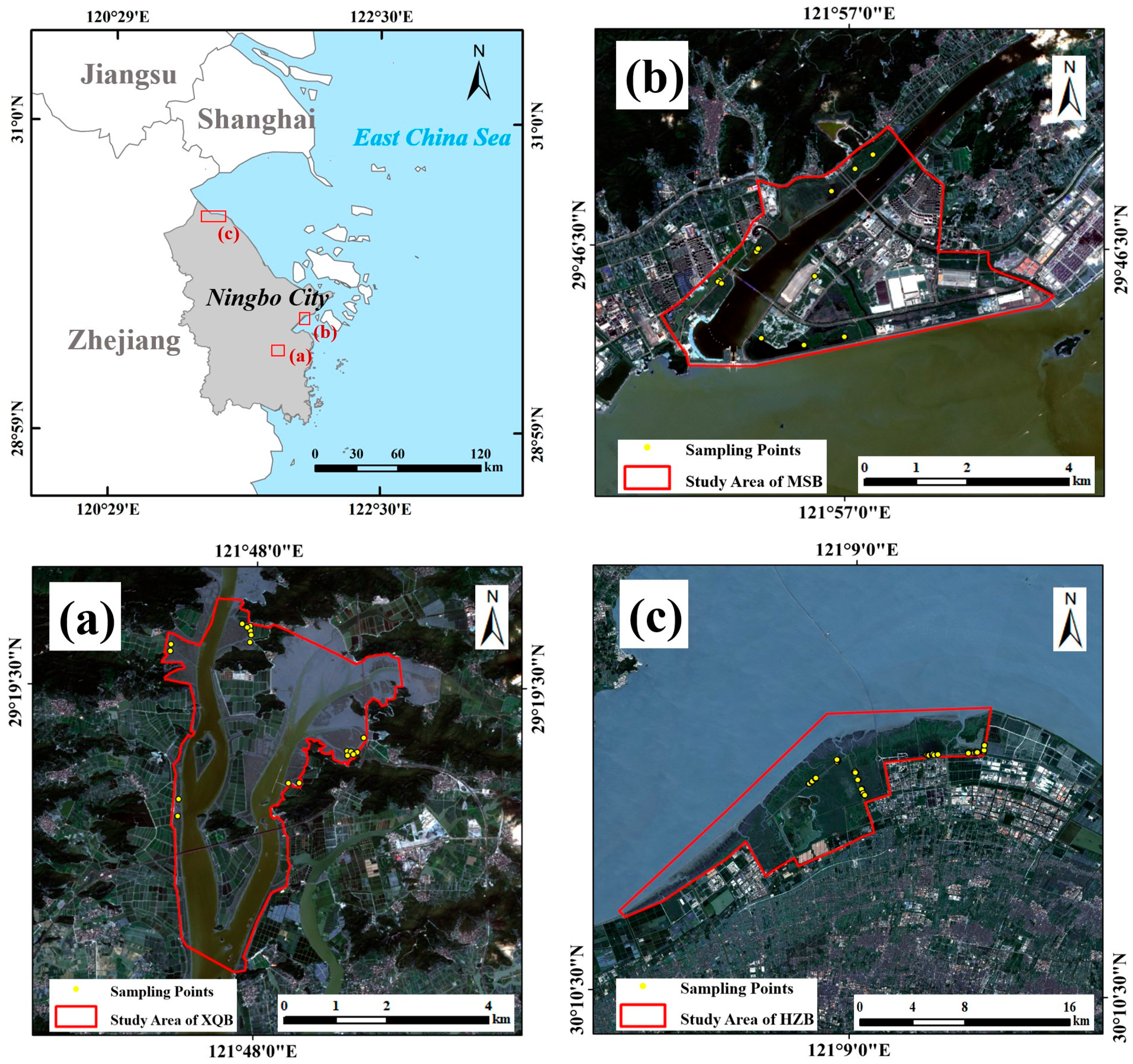 Remotesensing 16 02760 g001
