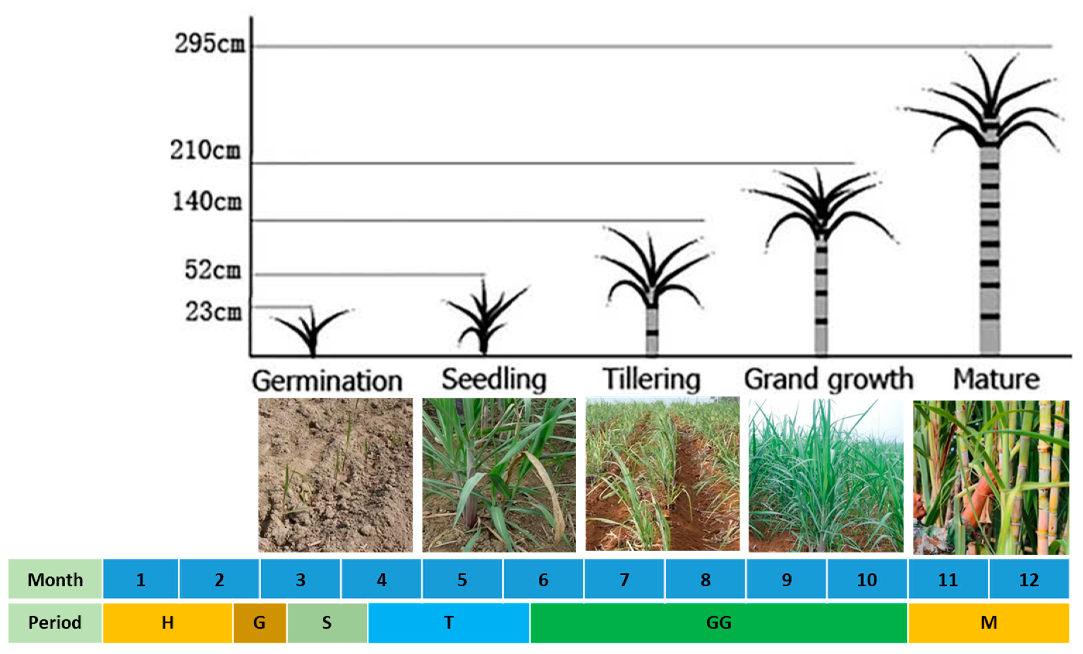 Remotesensing 16 02785 g002