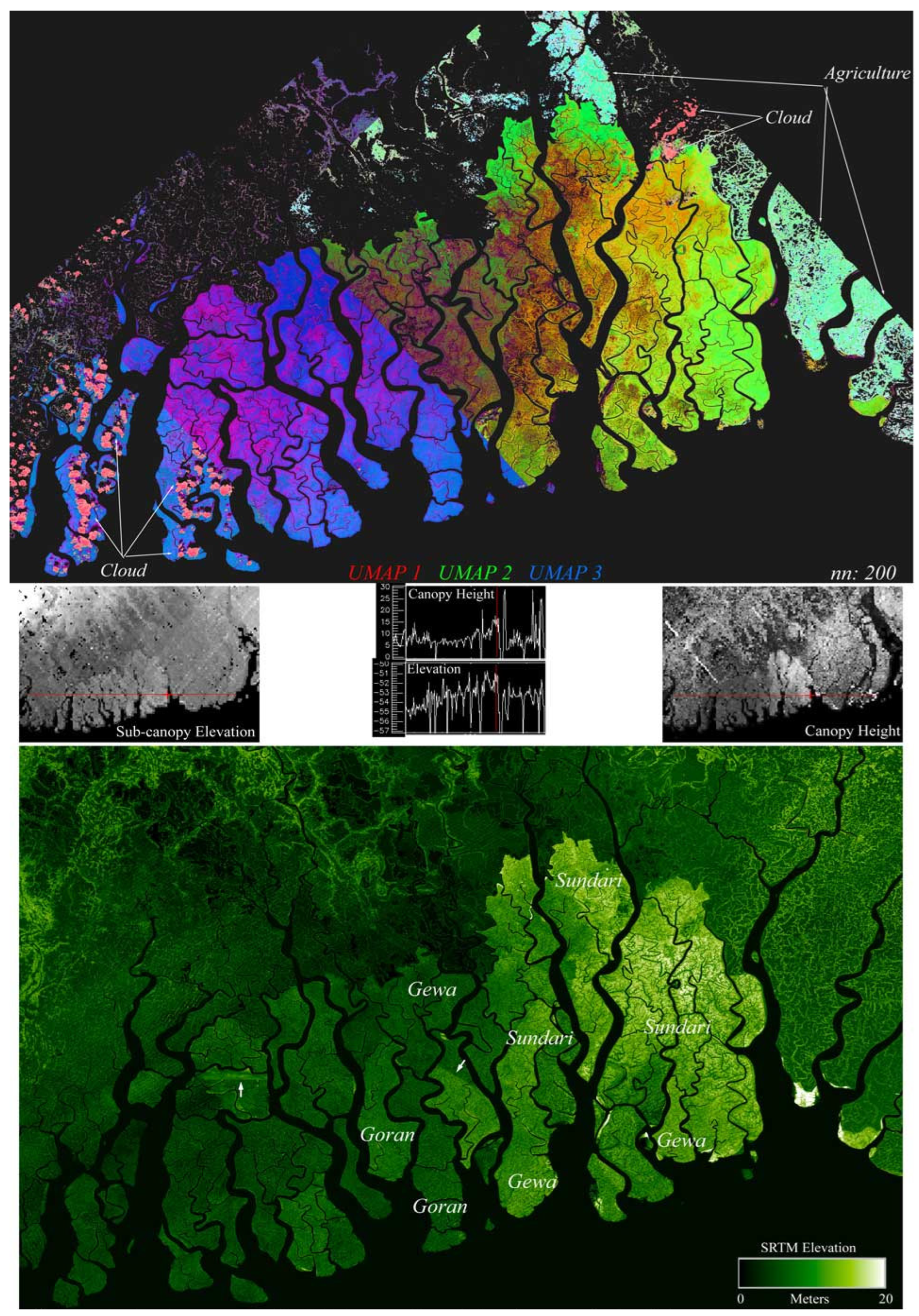 Remotesensing 16 02796 g009