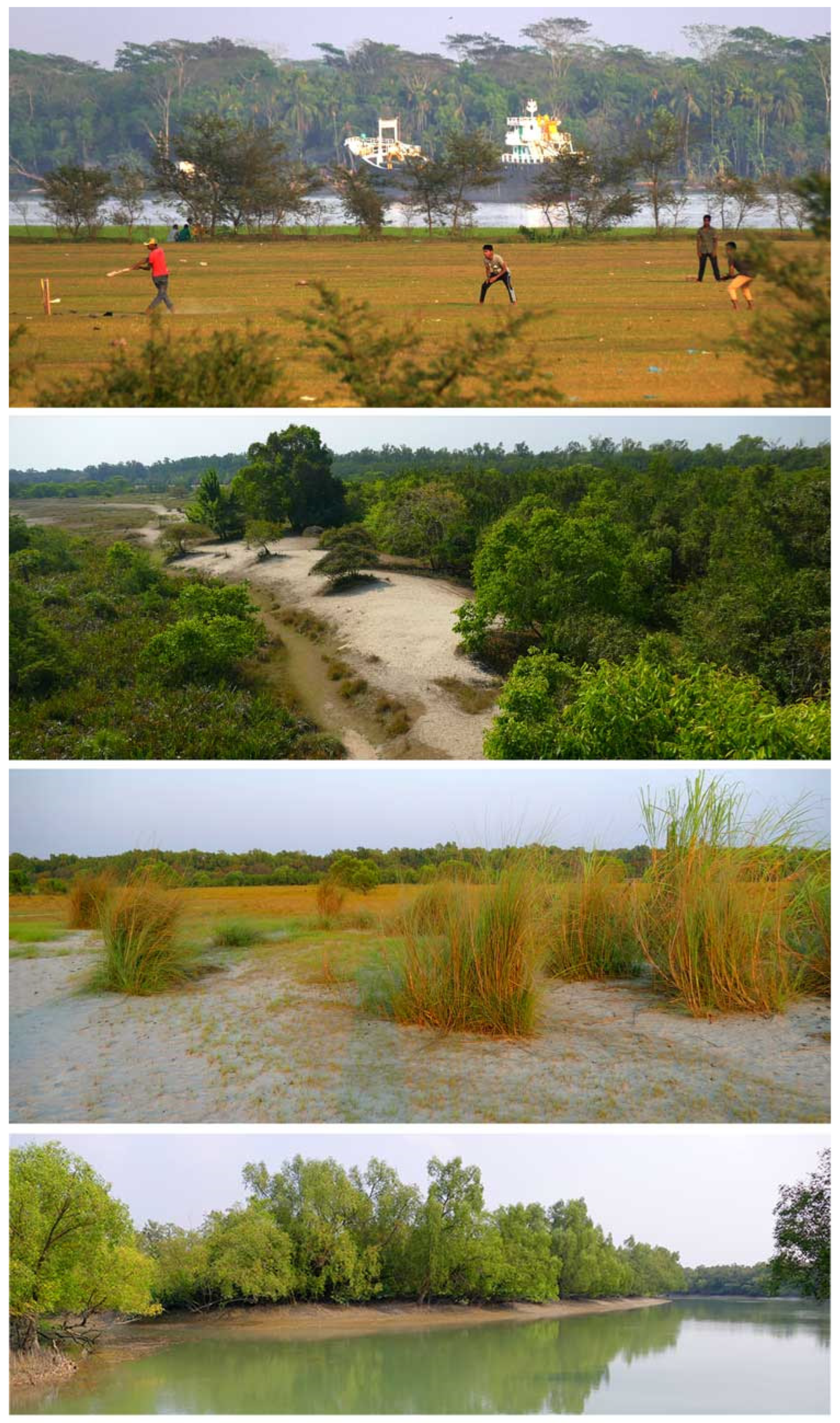 Remotesensing 16 02796 g010