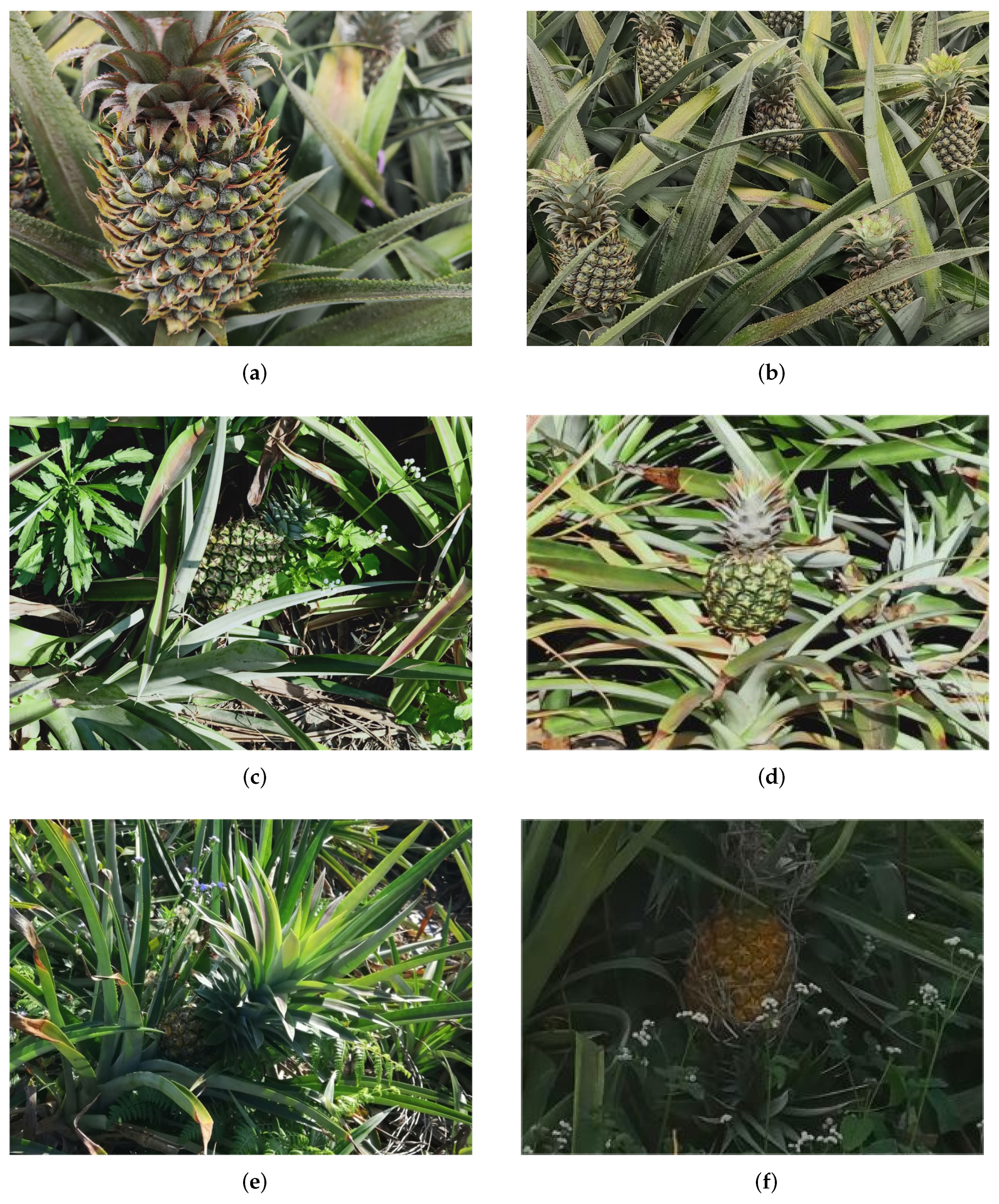 Remotesensing 16 02805 g001