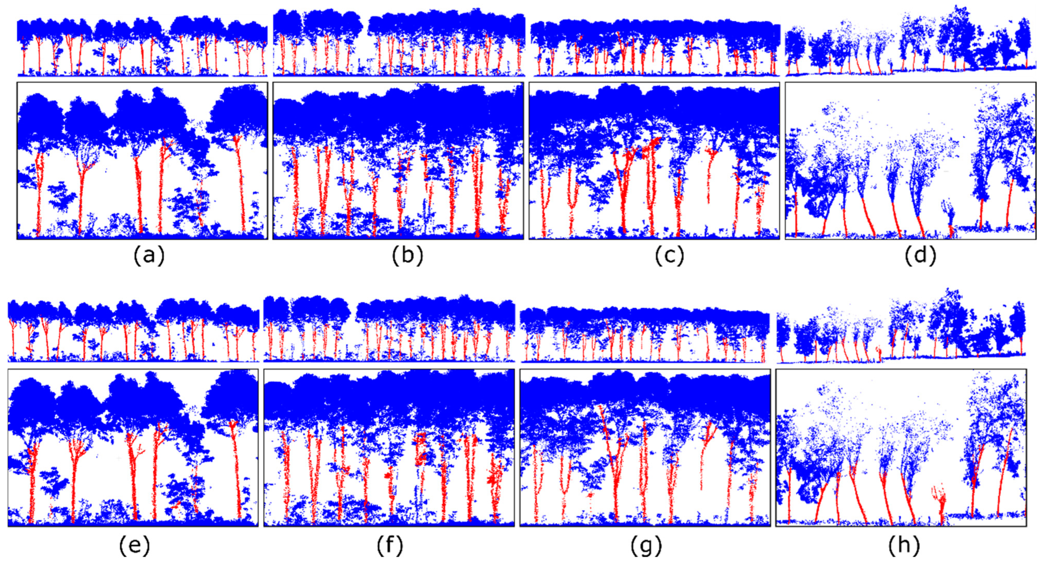 Remotesensing 16 02807 g011