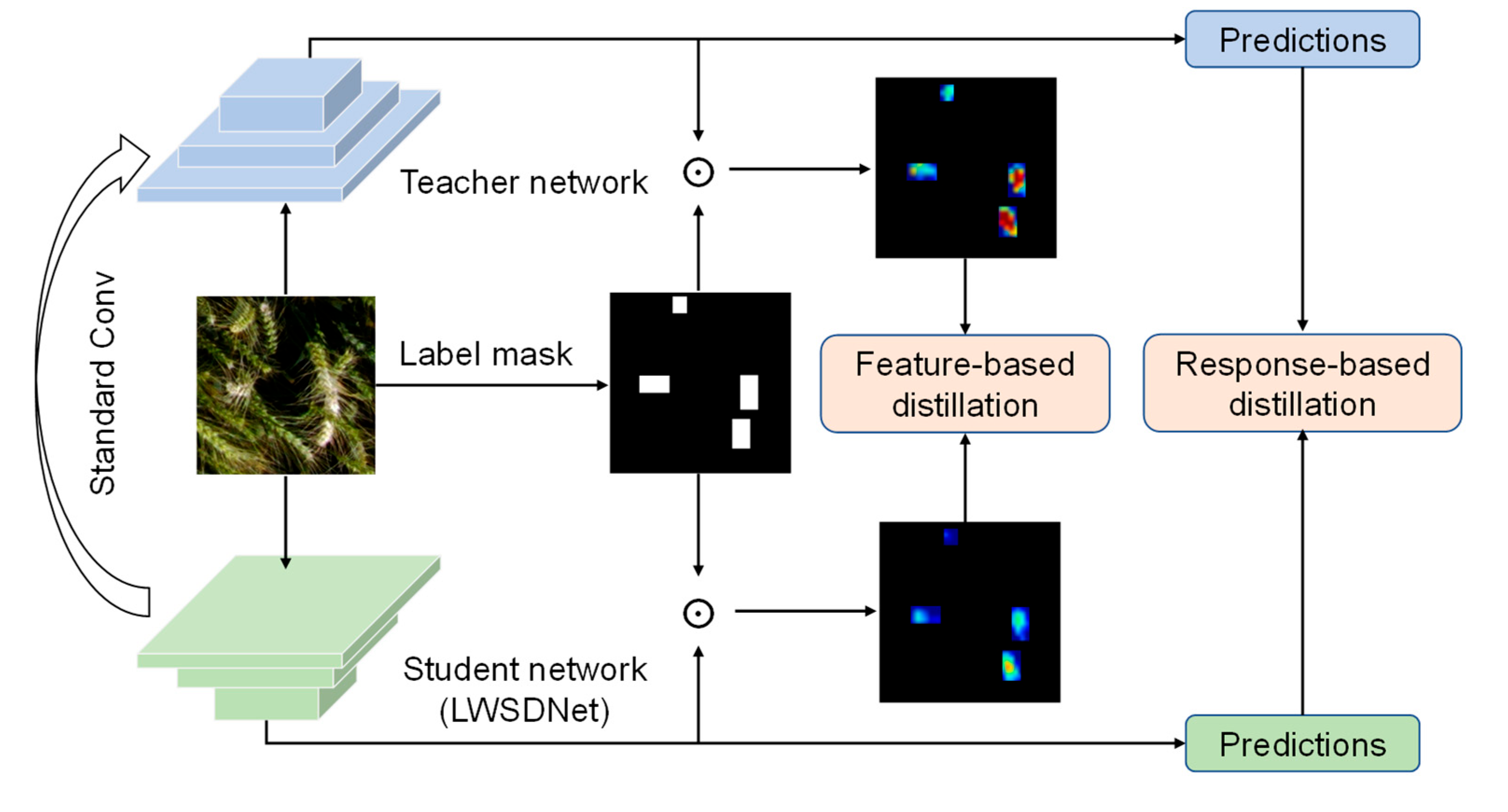 Remotesensing 16 02820 g009