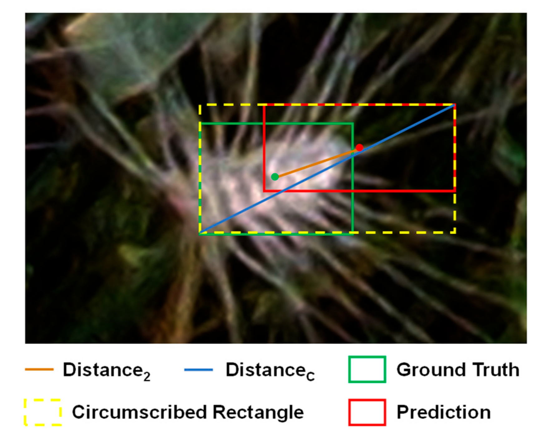 Remotesensing 16 02820 g010