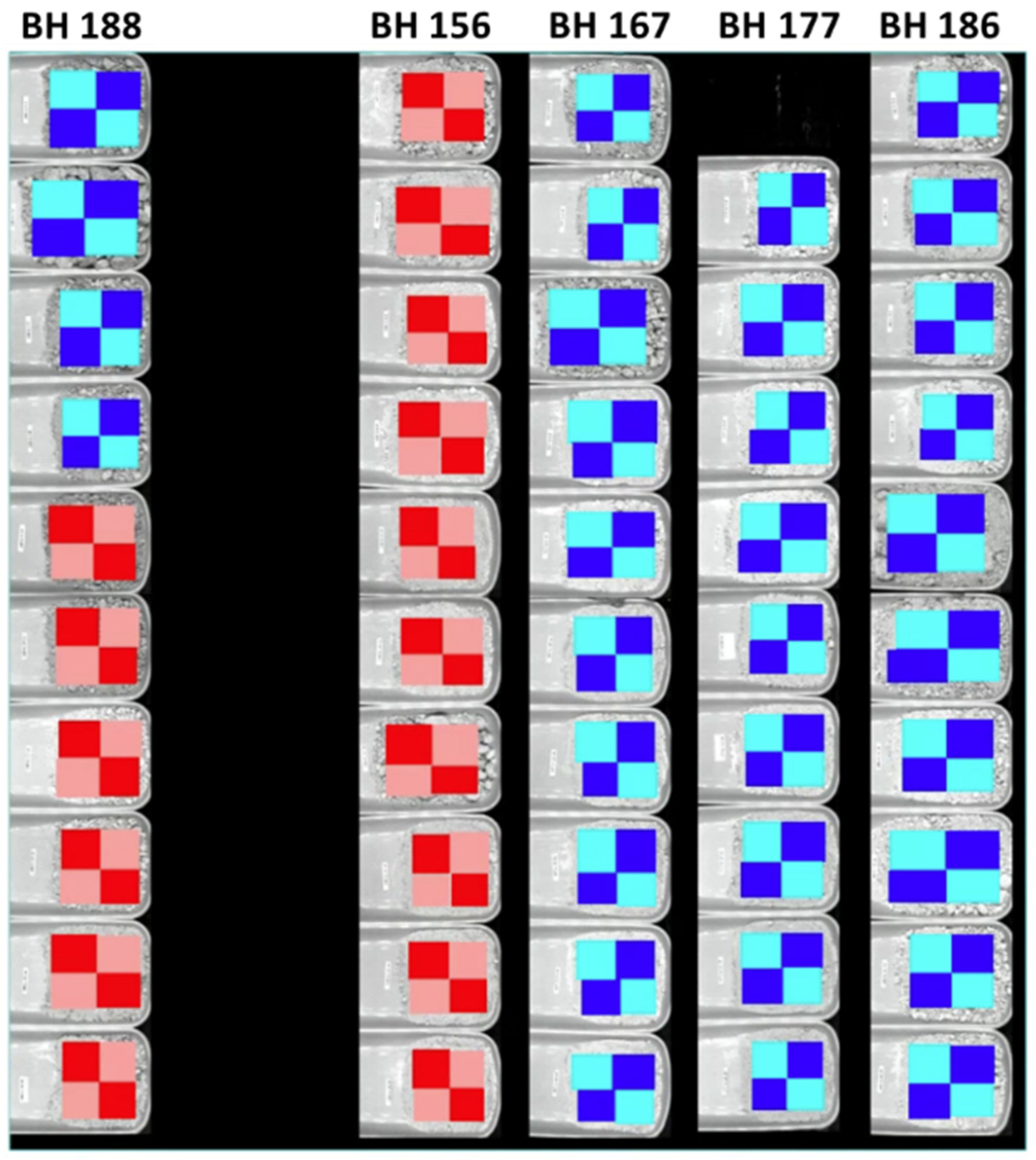 Remotesensing 16 02823 g009