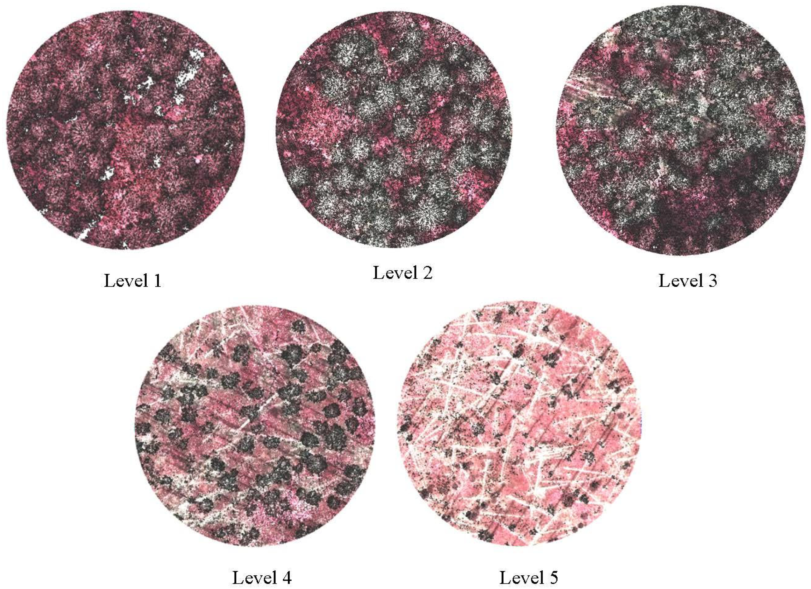 Remotesensing 16 02824 g002