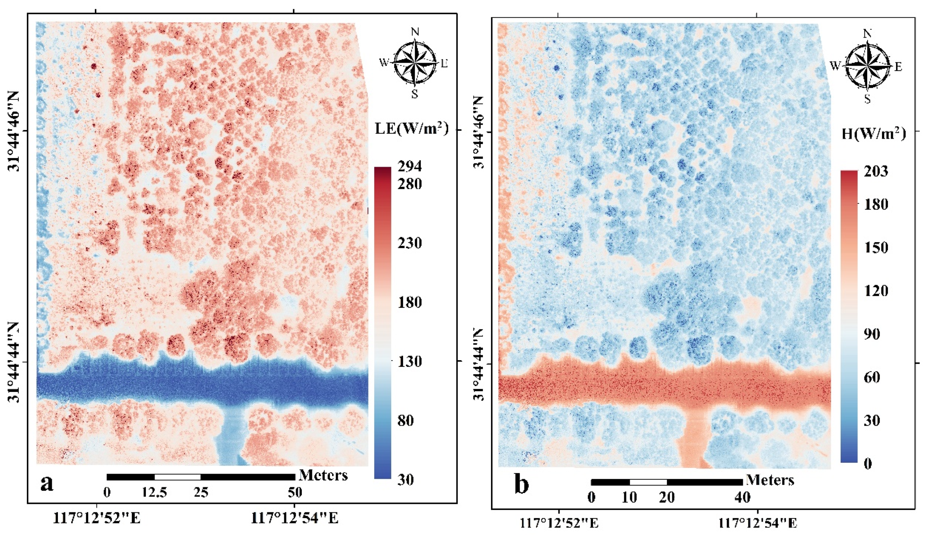 Remotesensing 16 02830 g010