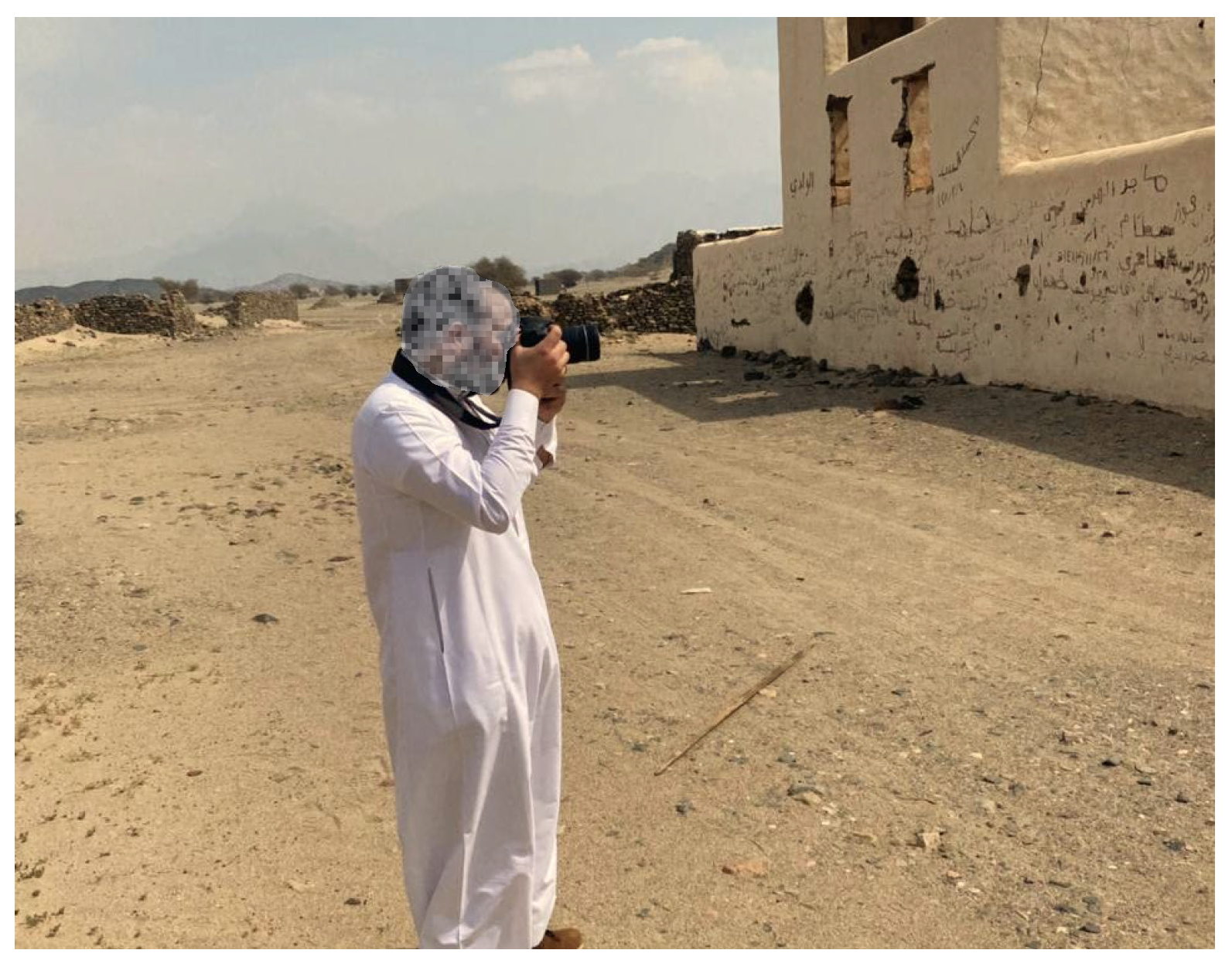 Remotesensing 16 02833 g011