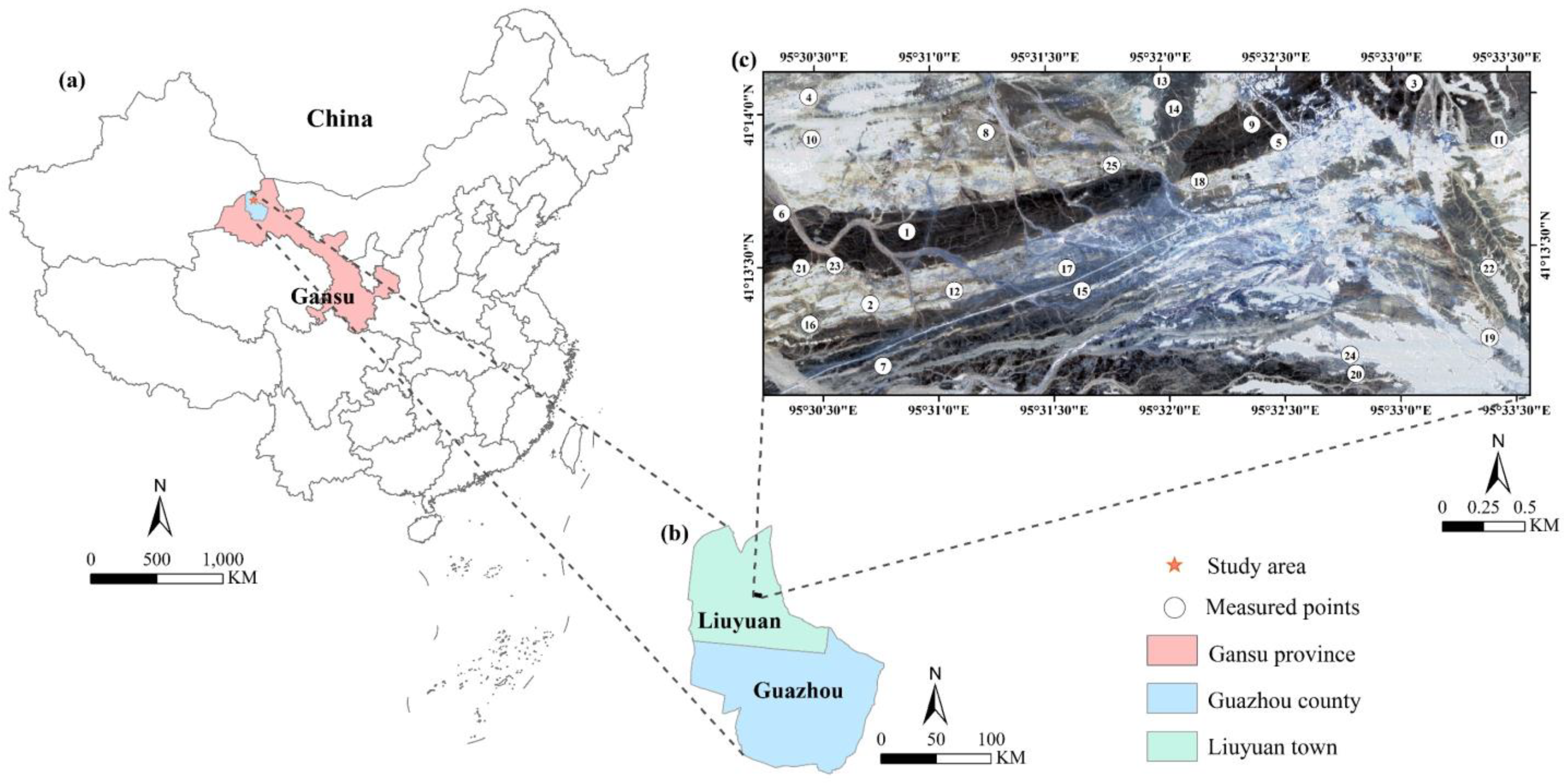 Remotesensing 16 02852 g001