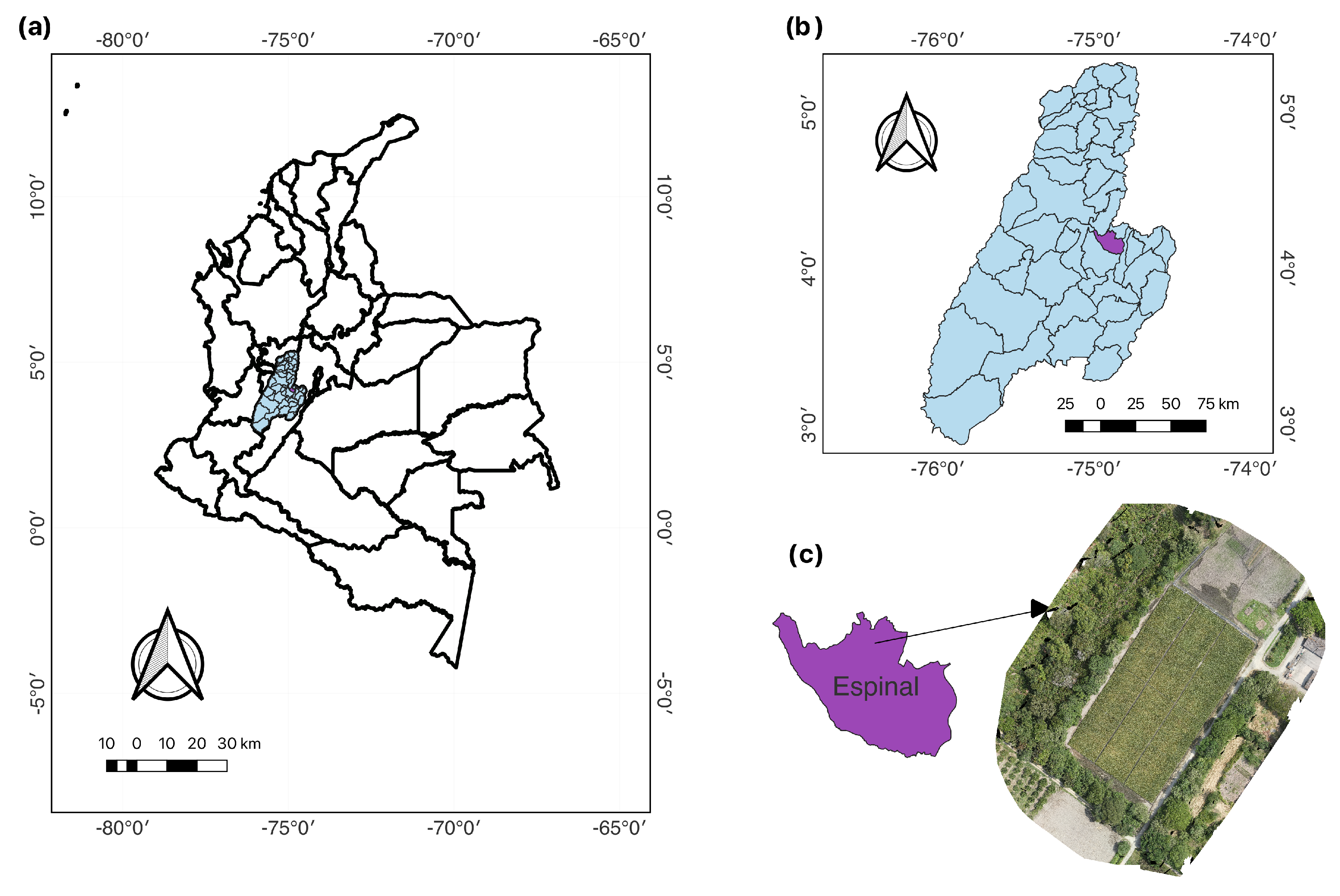Remotesensing 16 02854 g002