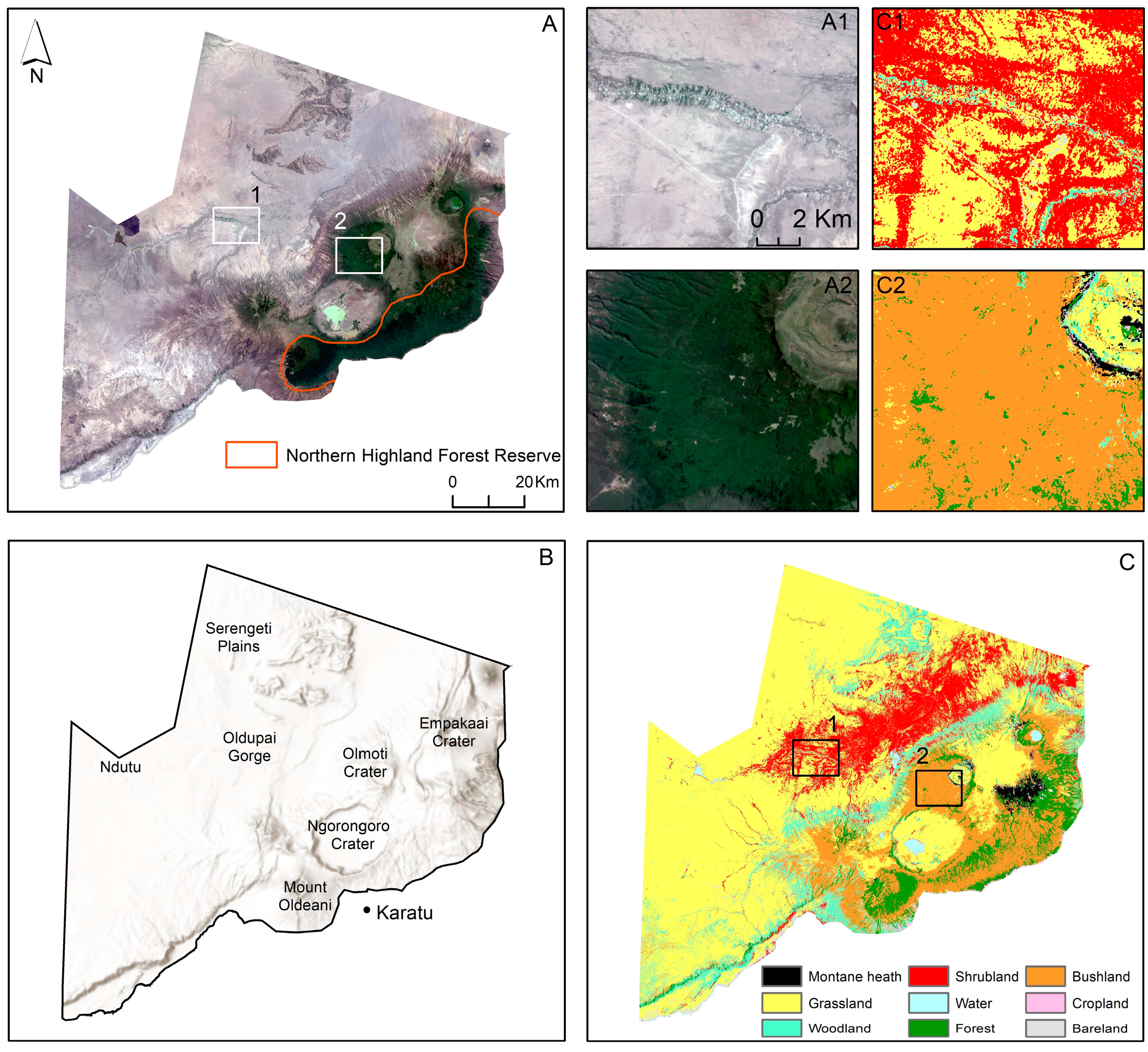 Remotesensing 16 02855 g001 Remotesensing 16 02855 g001