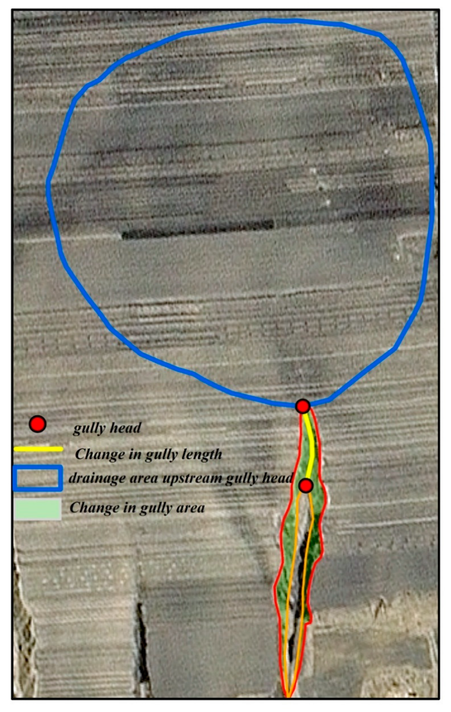 Remotesensing 16 02905 g002