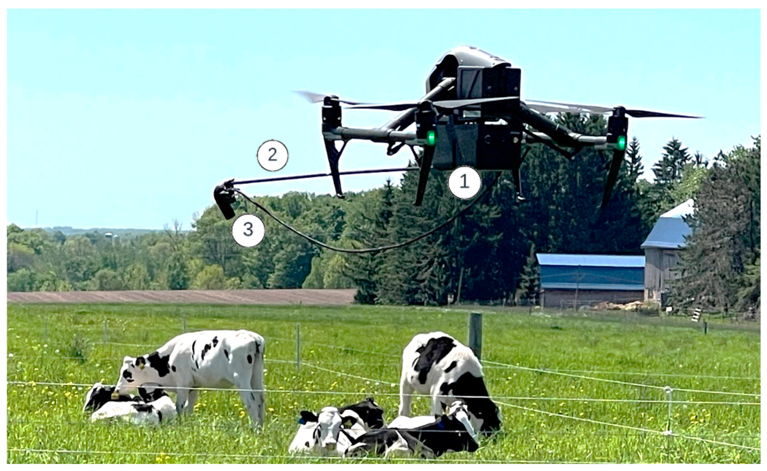 Remotesensing 16 03007 g001