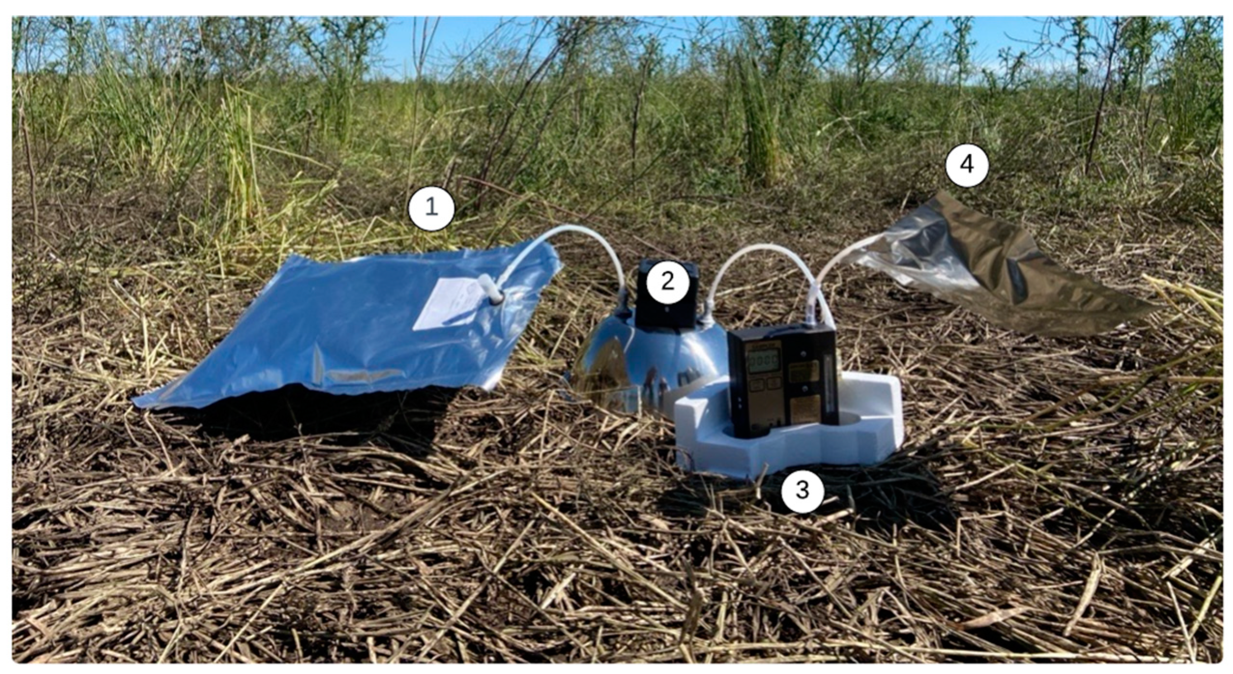 Remotesensing 16 03007 g004