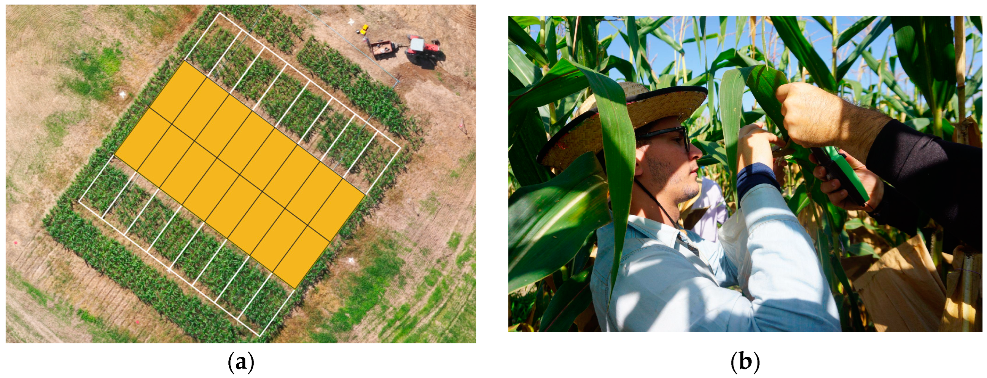 Remotesensing 16 03015 g004