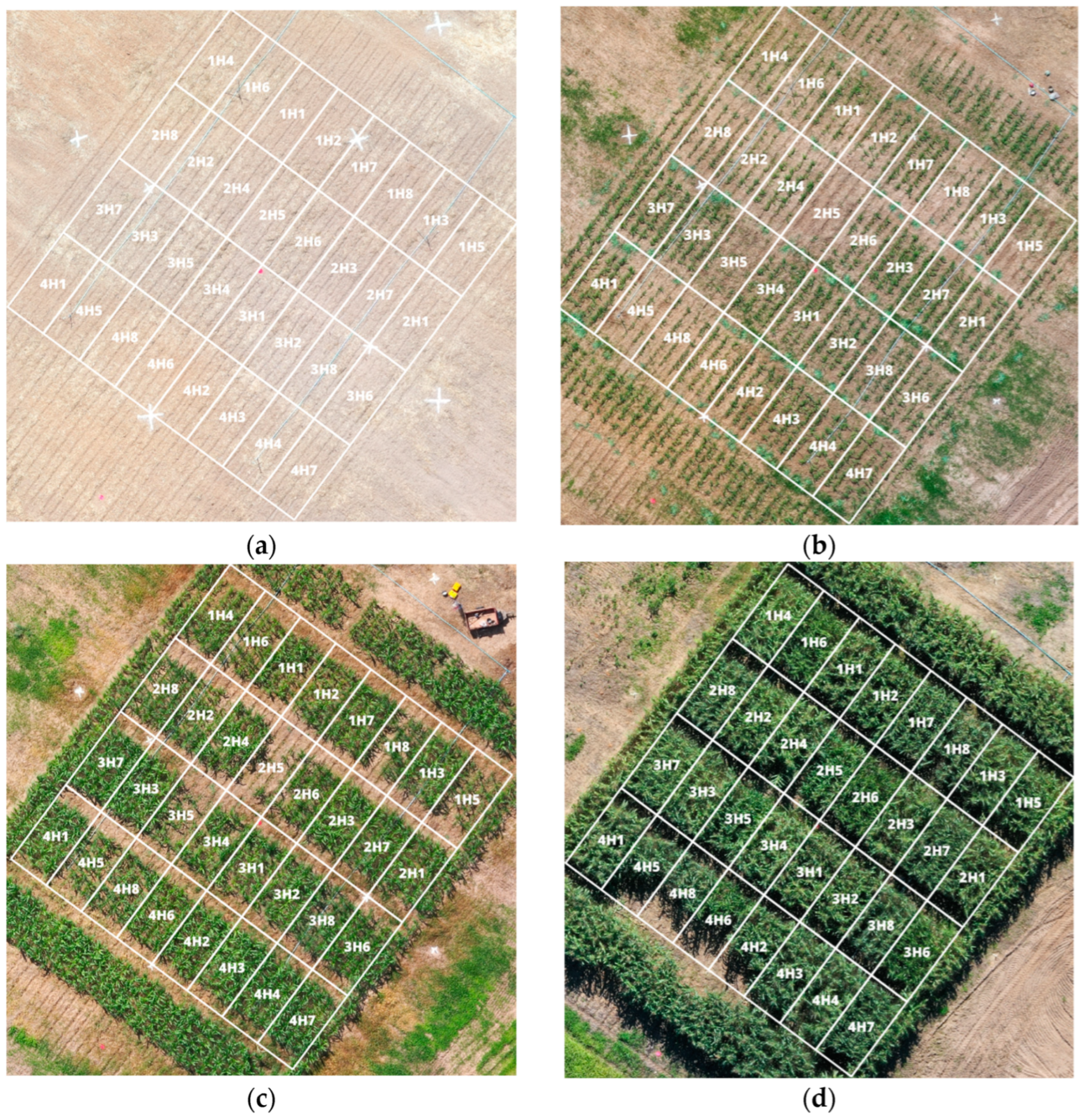 Remotesensing 16 03015 g005a