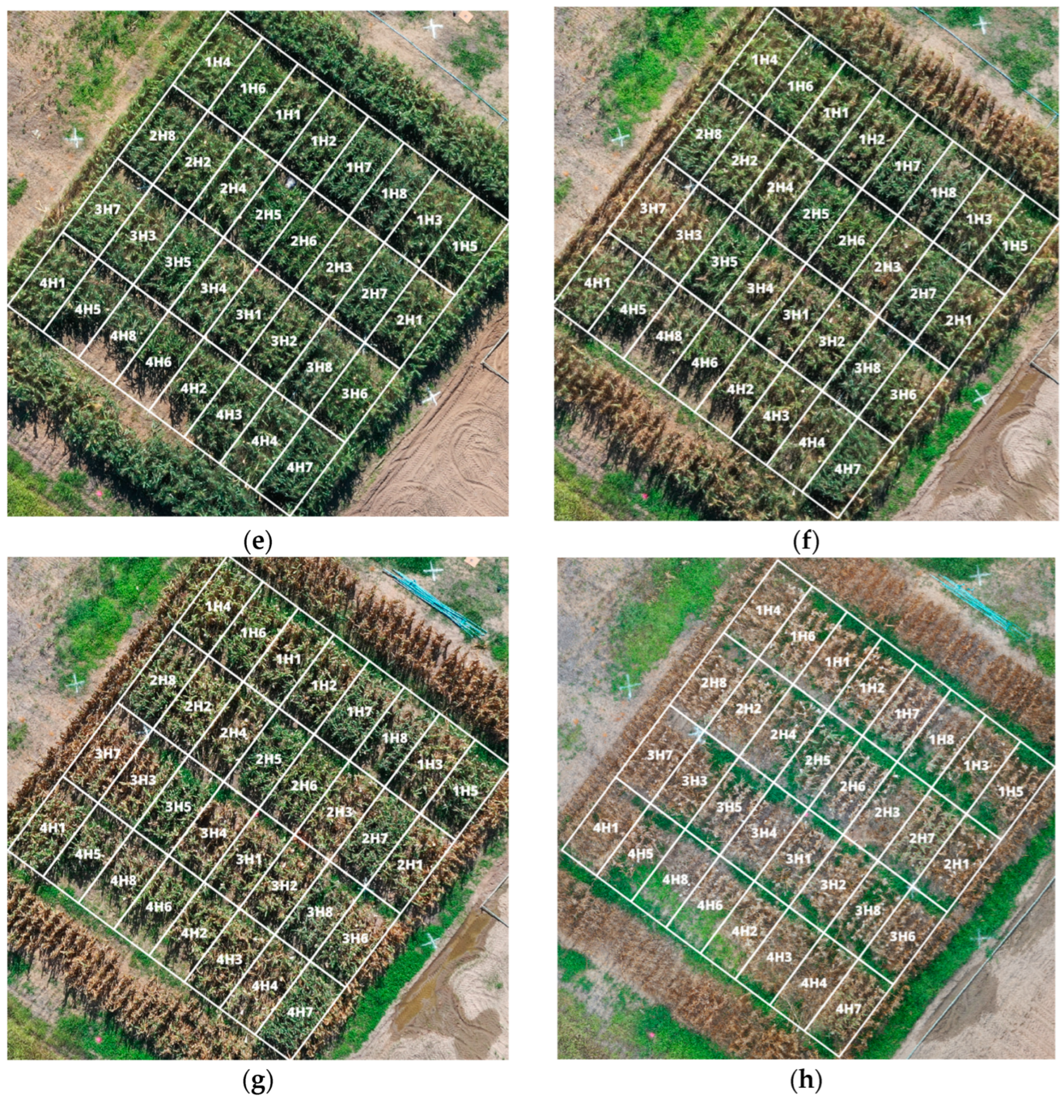 Remotesensing 16 03015 g005b