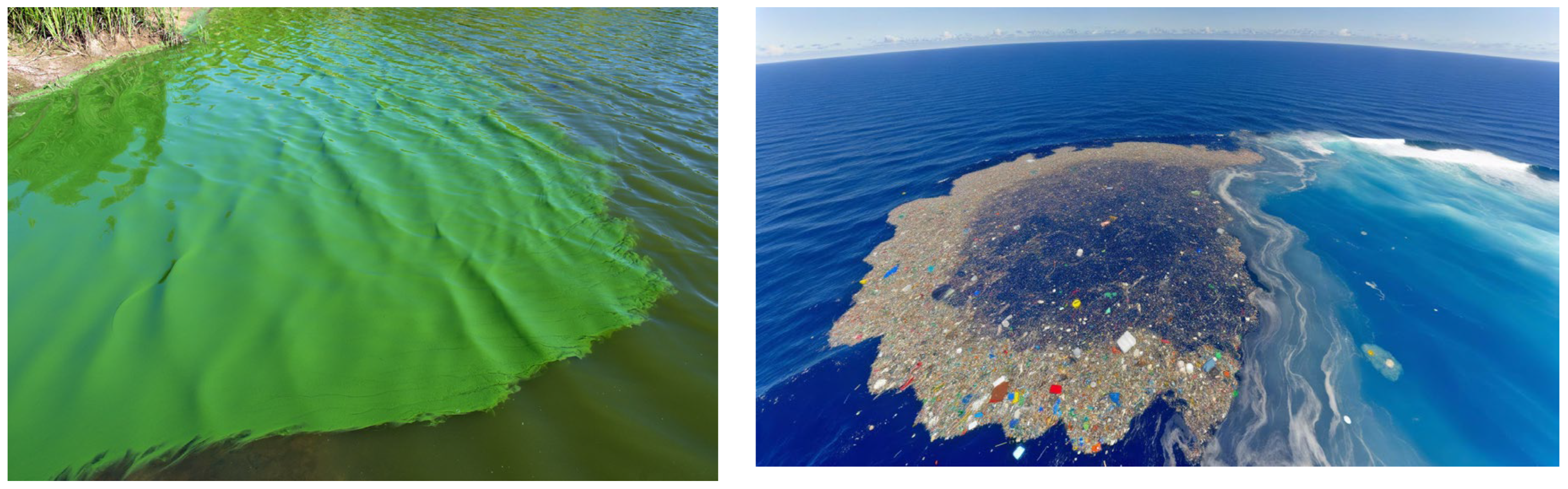 Remotesensing 16 03080 g005