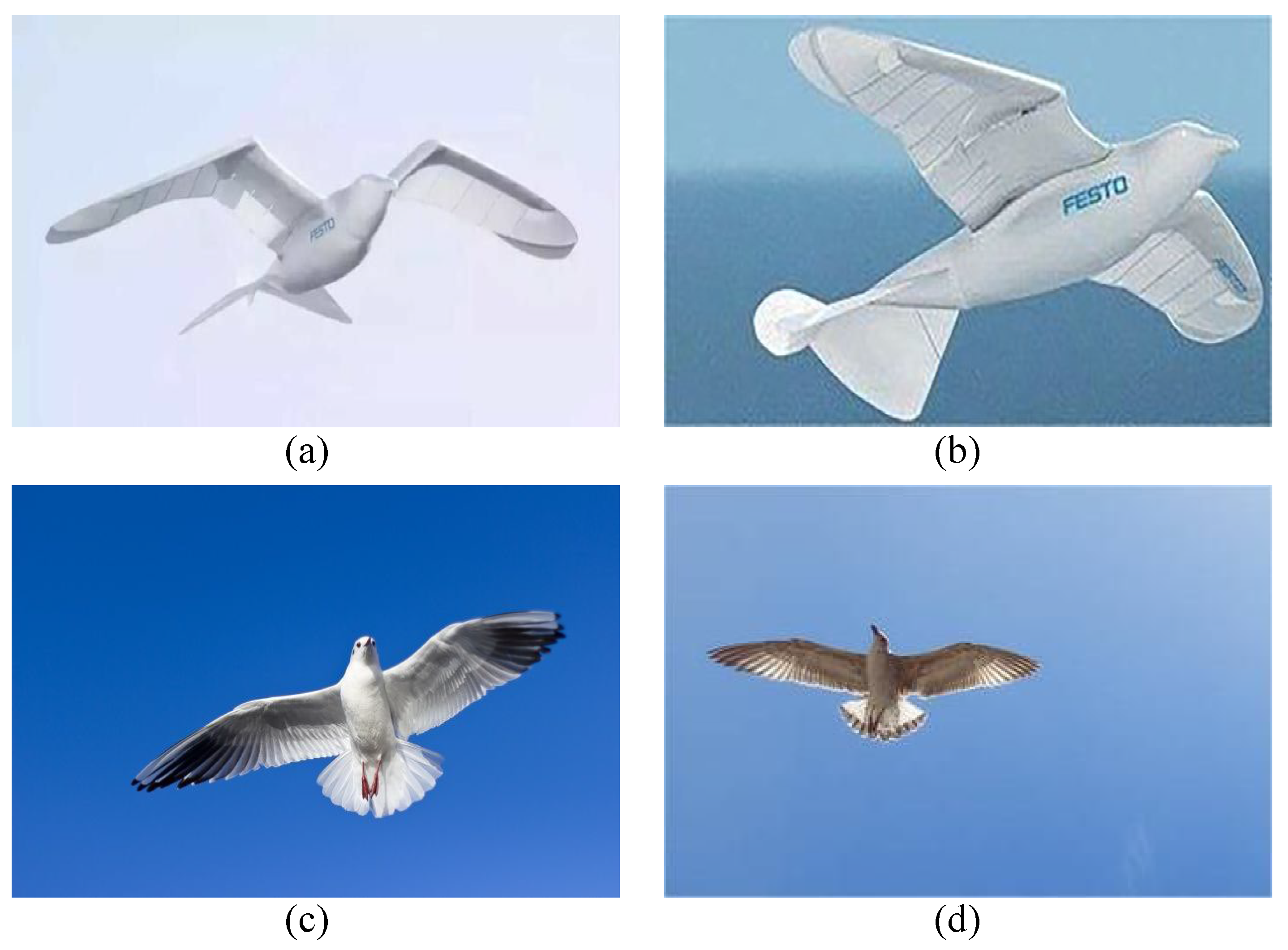 Remotesensing 16 03121 g001