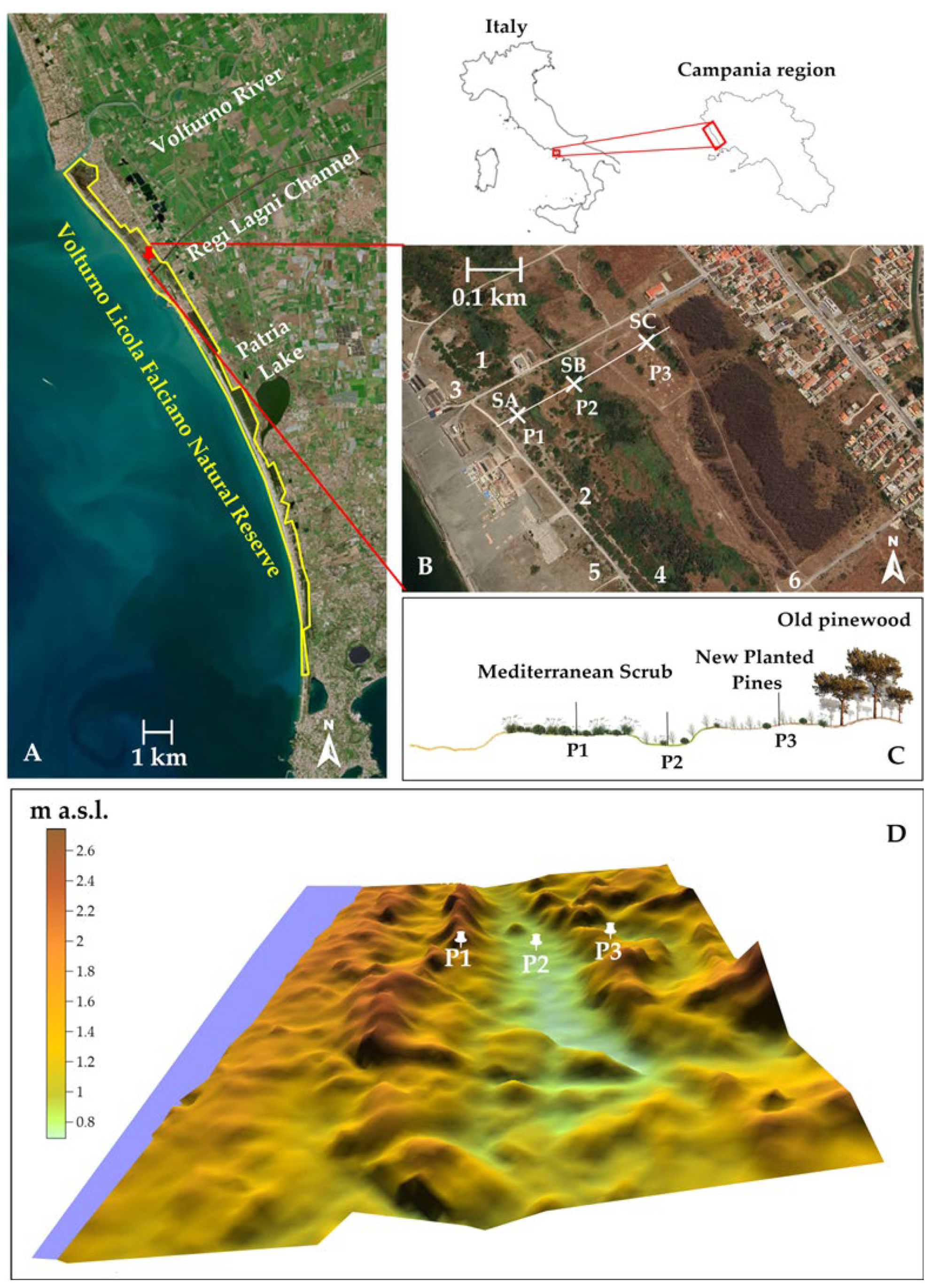 Remotesensing 16 03150 g001