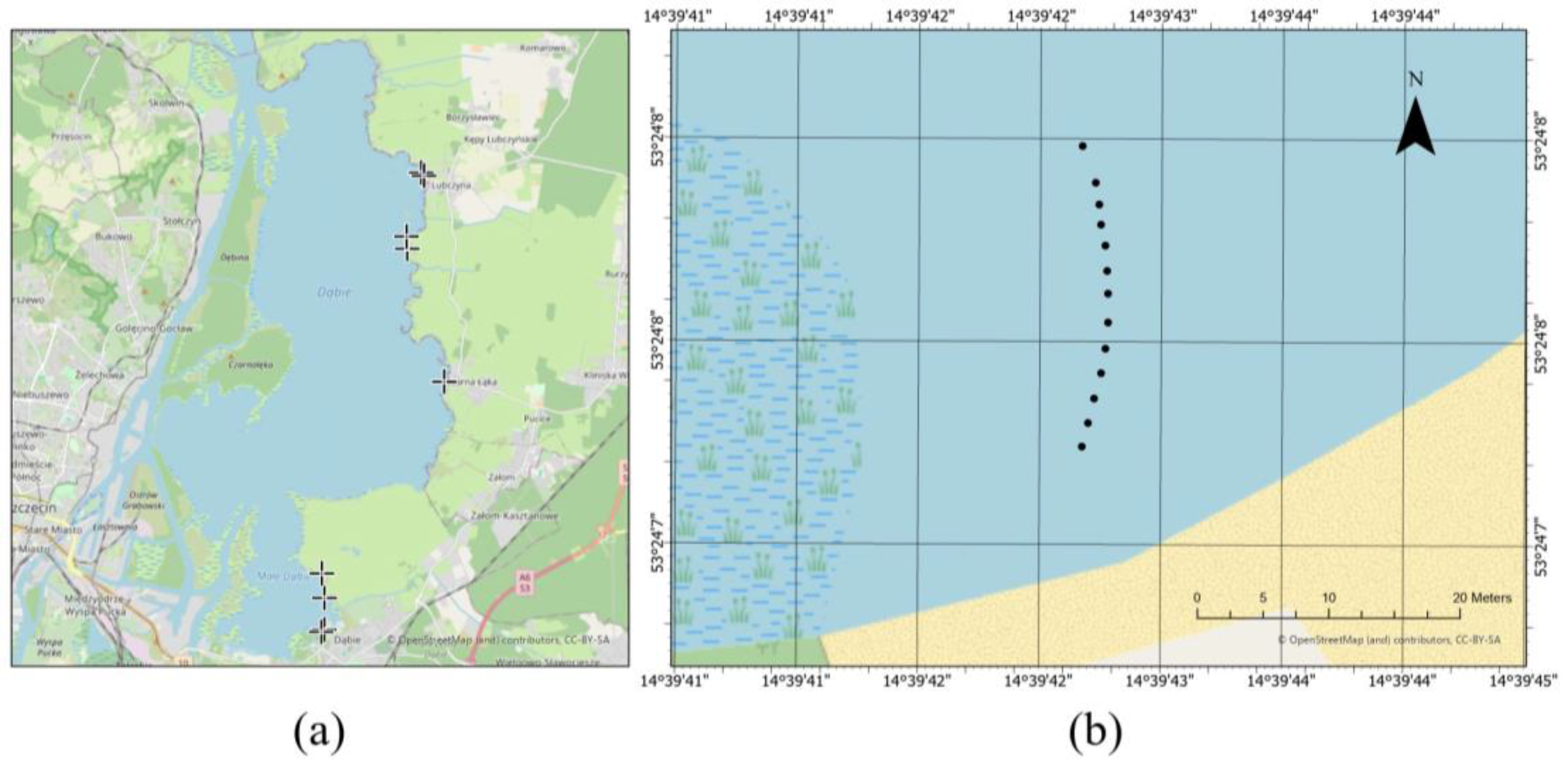 Remotesensing 16 03165 g003