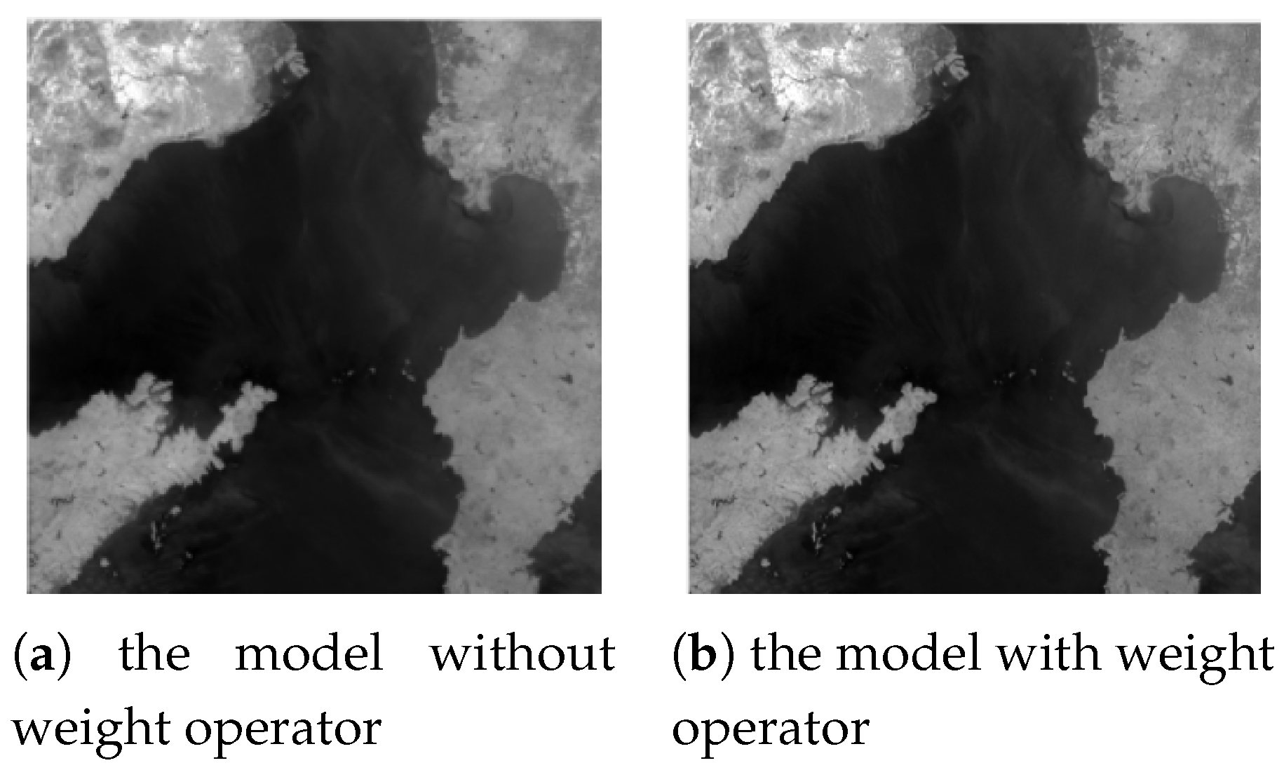 Remotesensing 16 03189 g009