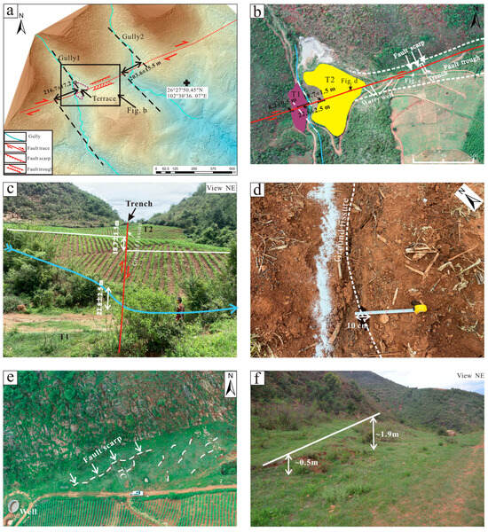 Newly Discovered NE-Striking Dextral Strike-Slip Holocene Newly Discovered NE-Striking Dextral Strike-Slip Holocene