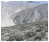 Remotesensing 16 03219 i009