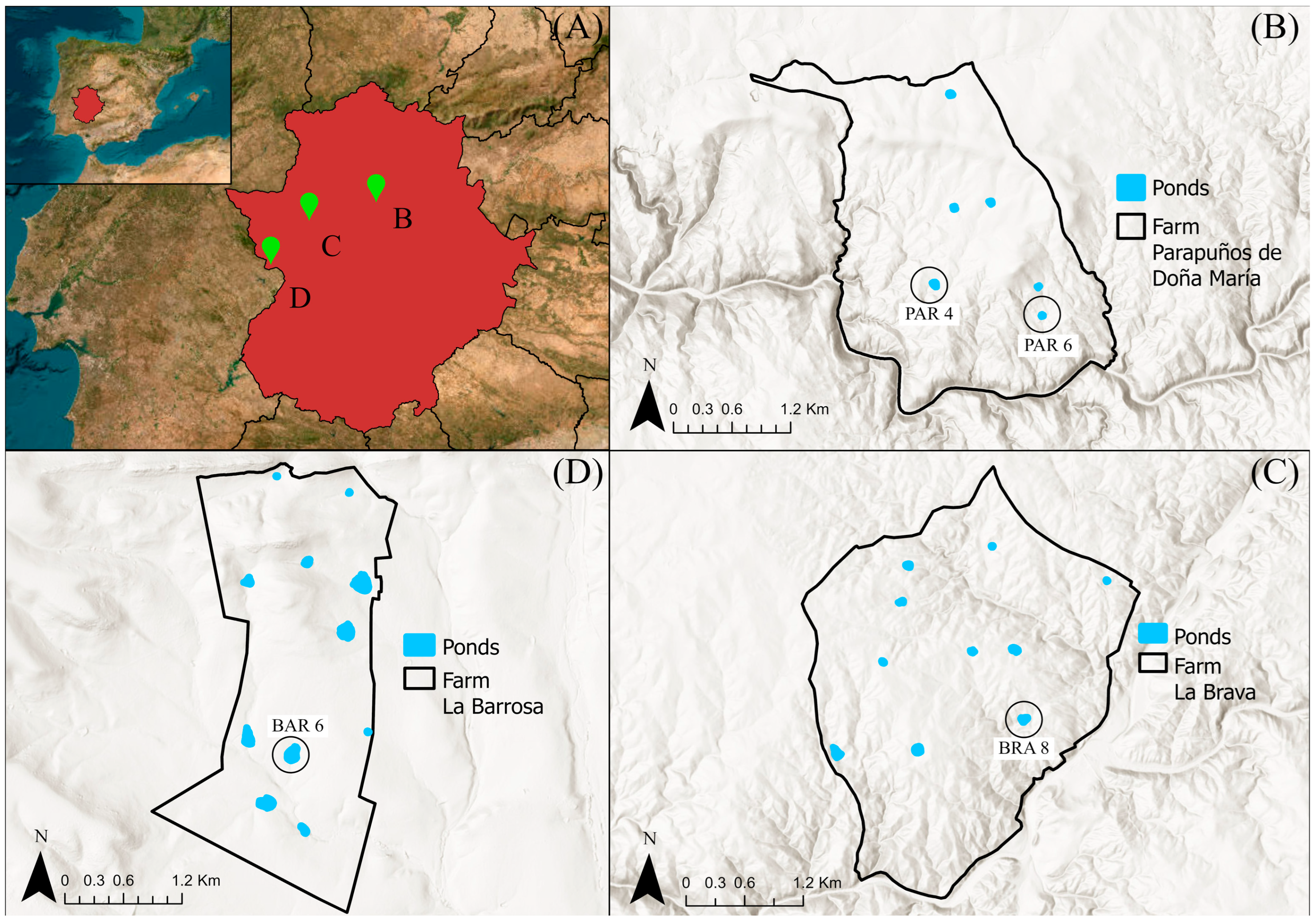 Remotesensing 16 03257 g001