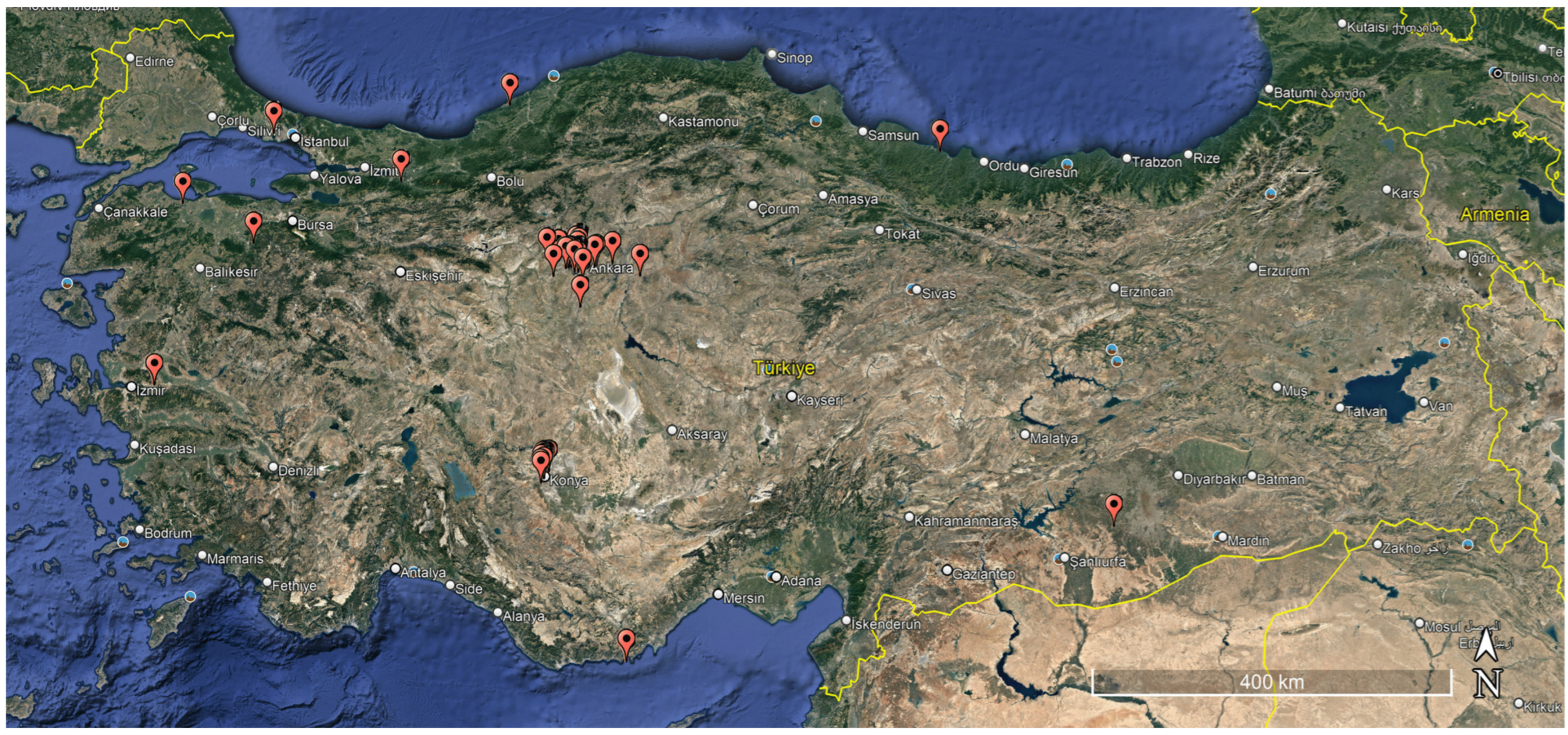 Remotesensing 16 03295 g002