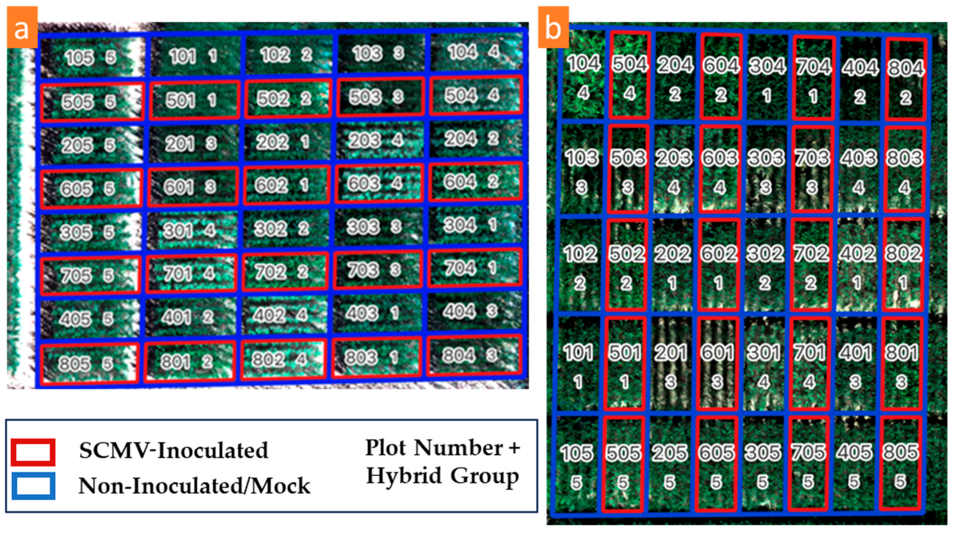 Remotesensing 16 03296 g002 Remotesensing 16 03296 g002