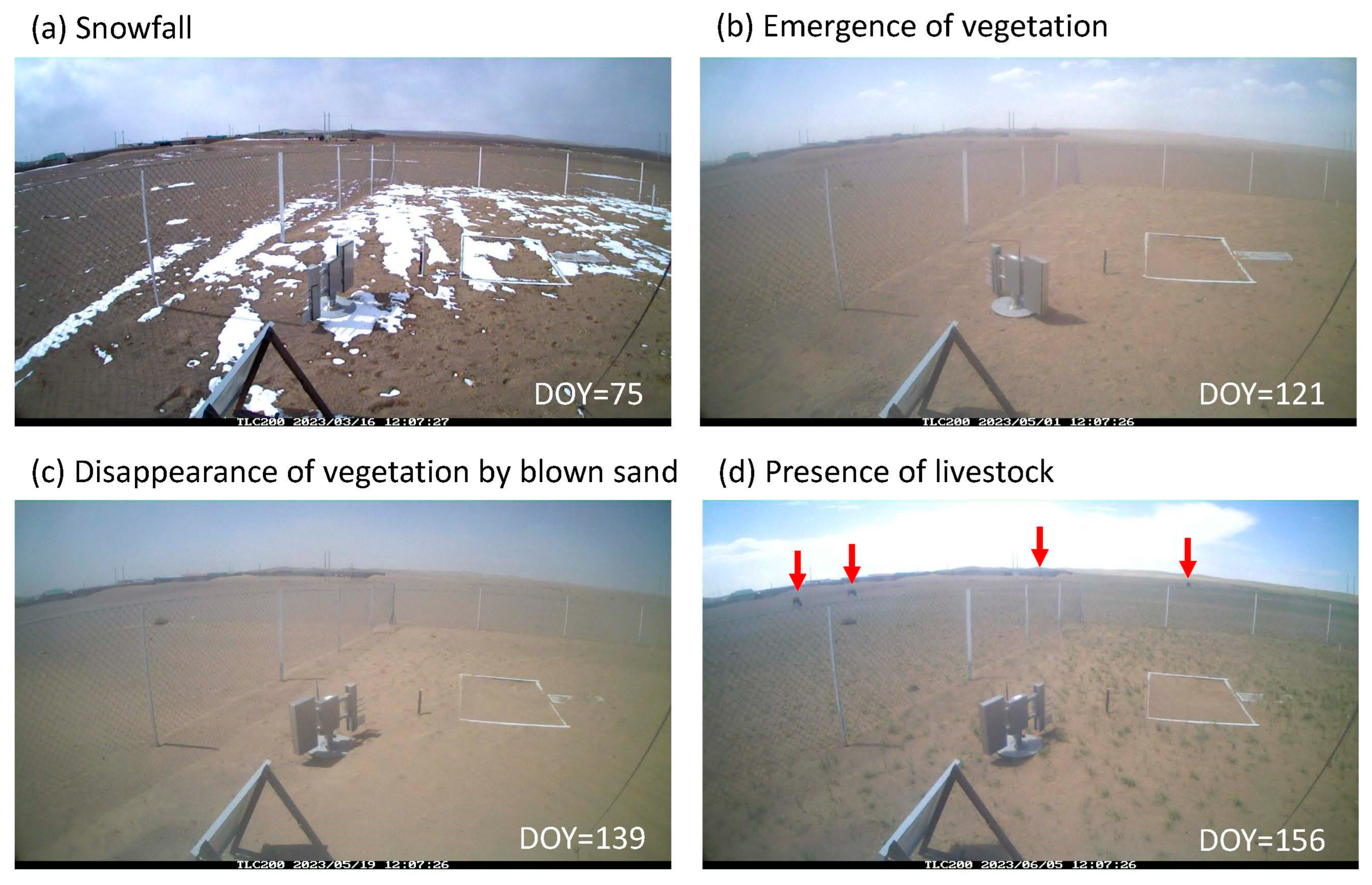 Remotesensing 16 03331 g006 Remotesensing 16 03331 g006