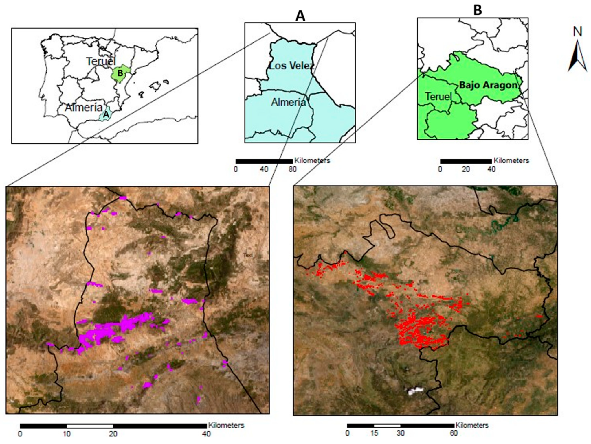 Remotesensing 16 03369 g001