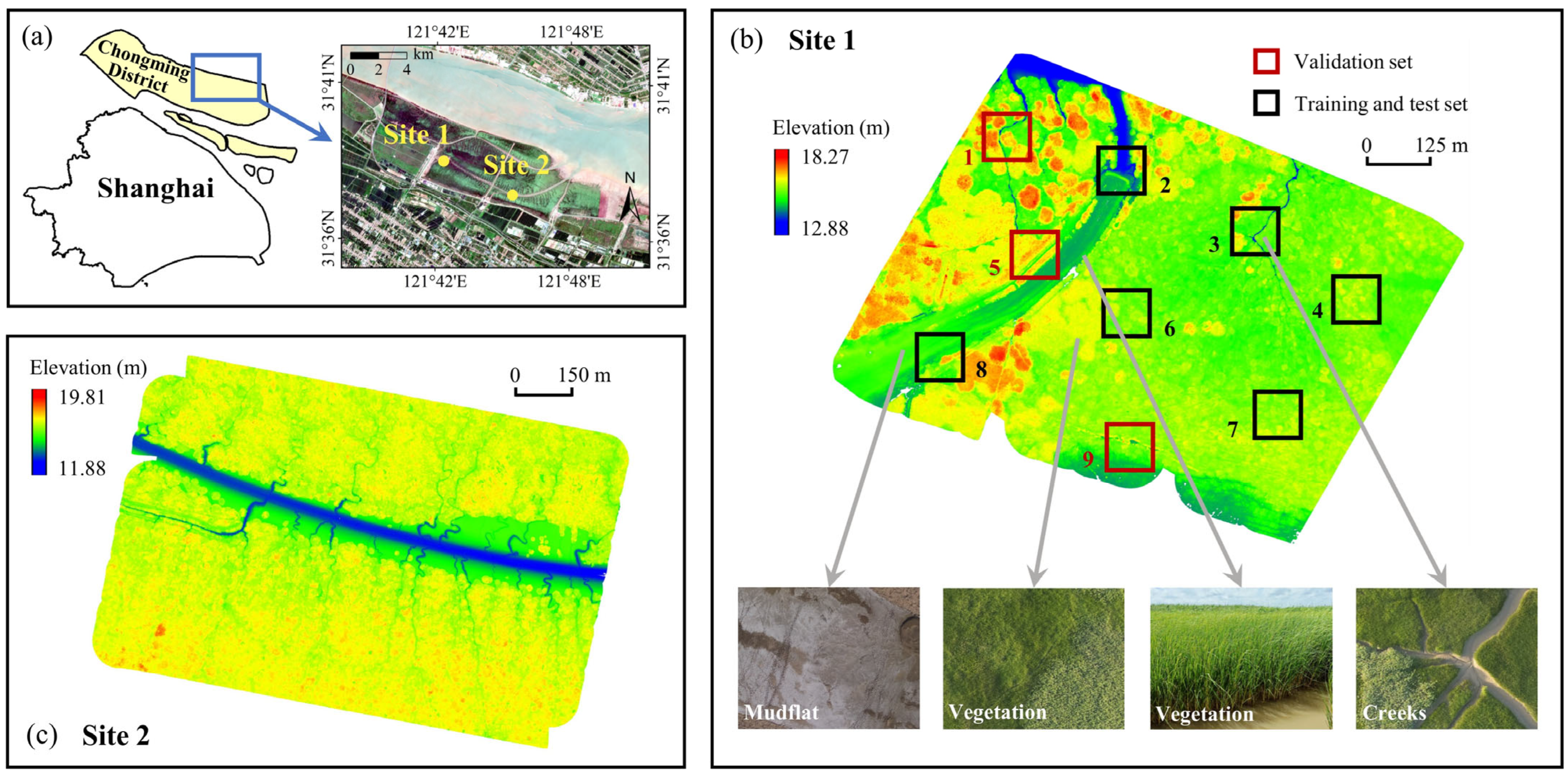ＪＩＮ ANN-Based Filtering of Drone LiDAR in Coastal Salt Marshes