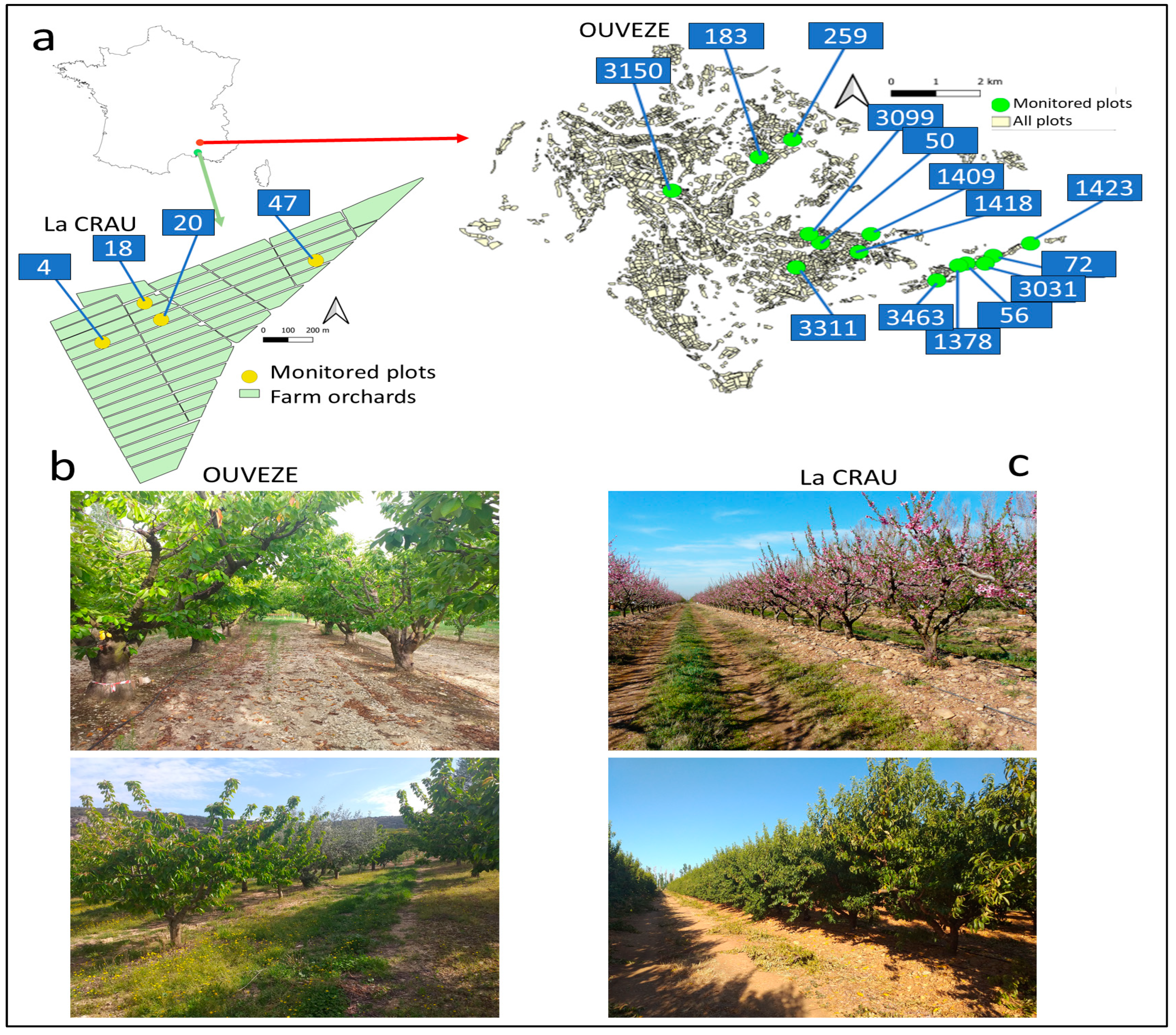 Remotesensing 16 03393 g002 Remotesensing 16 03393 g002