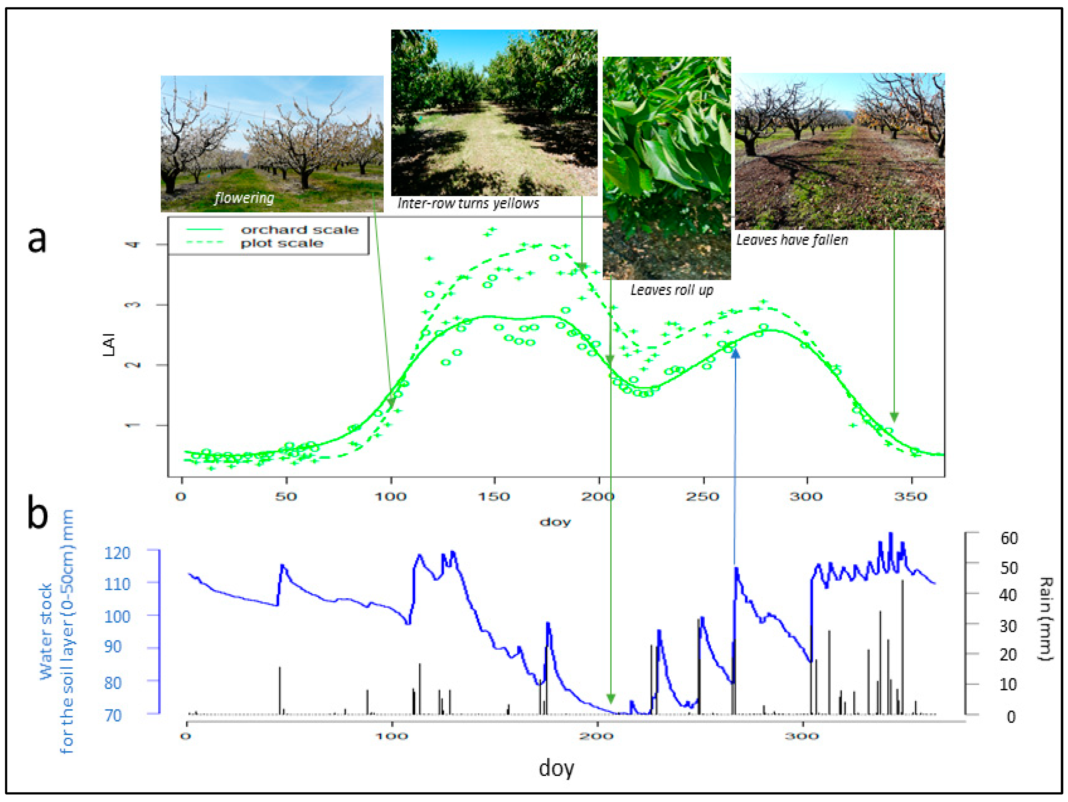 Remotesensing 16 03393 g010 Remotesensing 16 03393 g010
