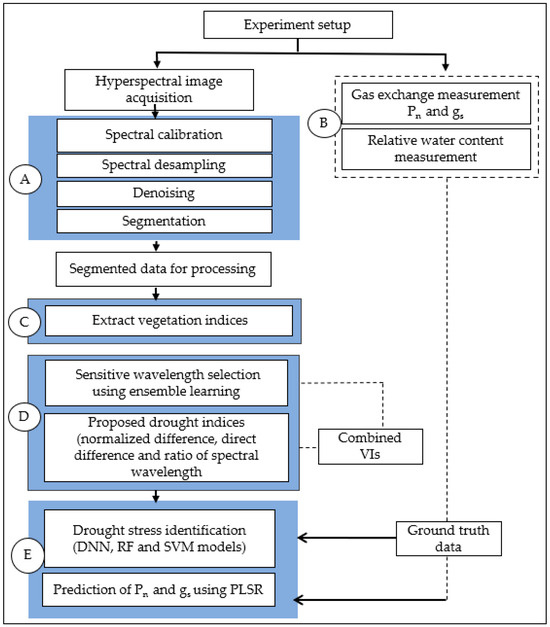 Hyperspectral Imaging for Phenotyping Plant Drought Stress and Nitrogen ...