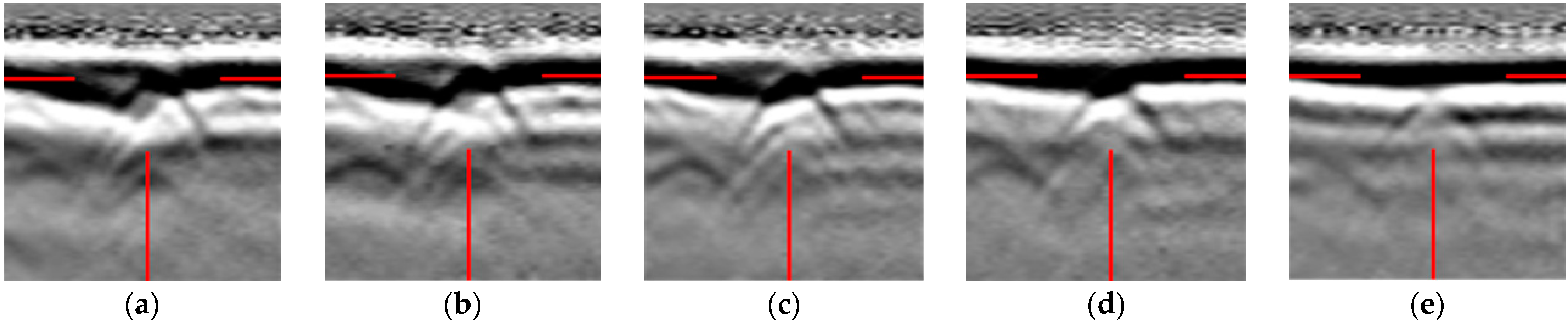 Remotesensing 16 03454 g019