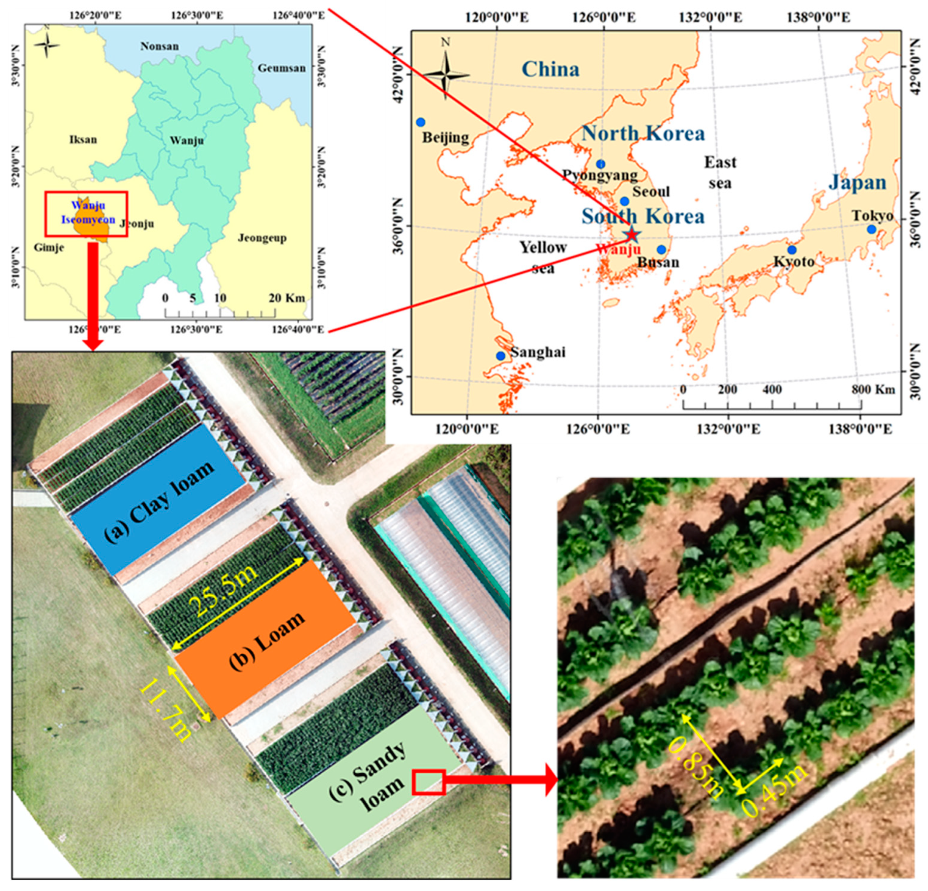 Remotesensing 16 03455 g001