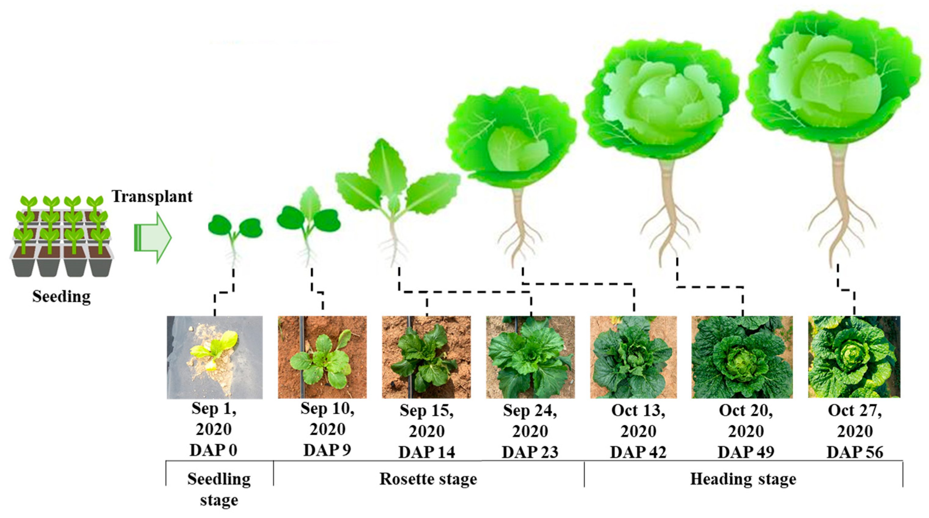 Remotesensing 16 03455 g002