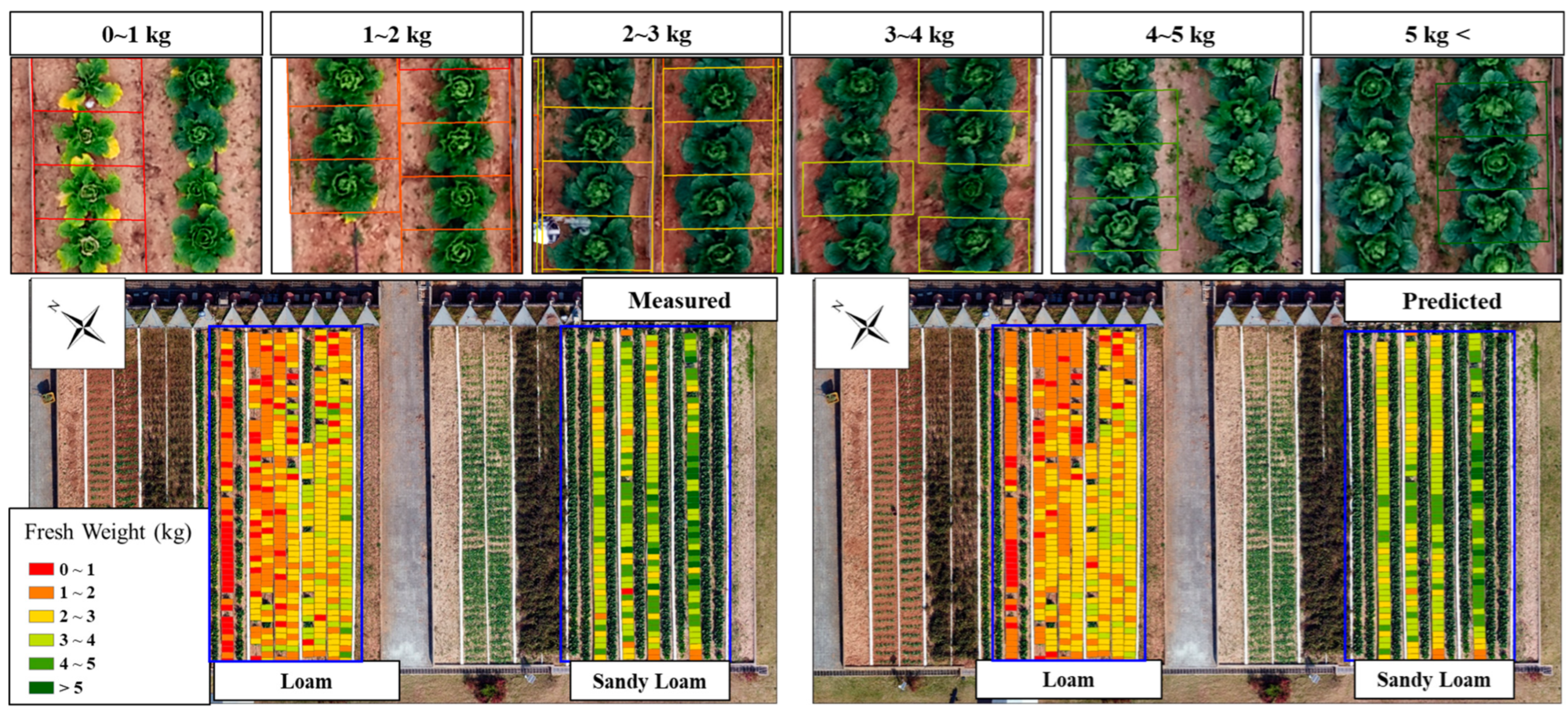 Remotesensing 16 03455 g017