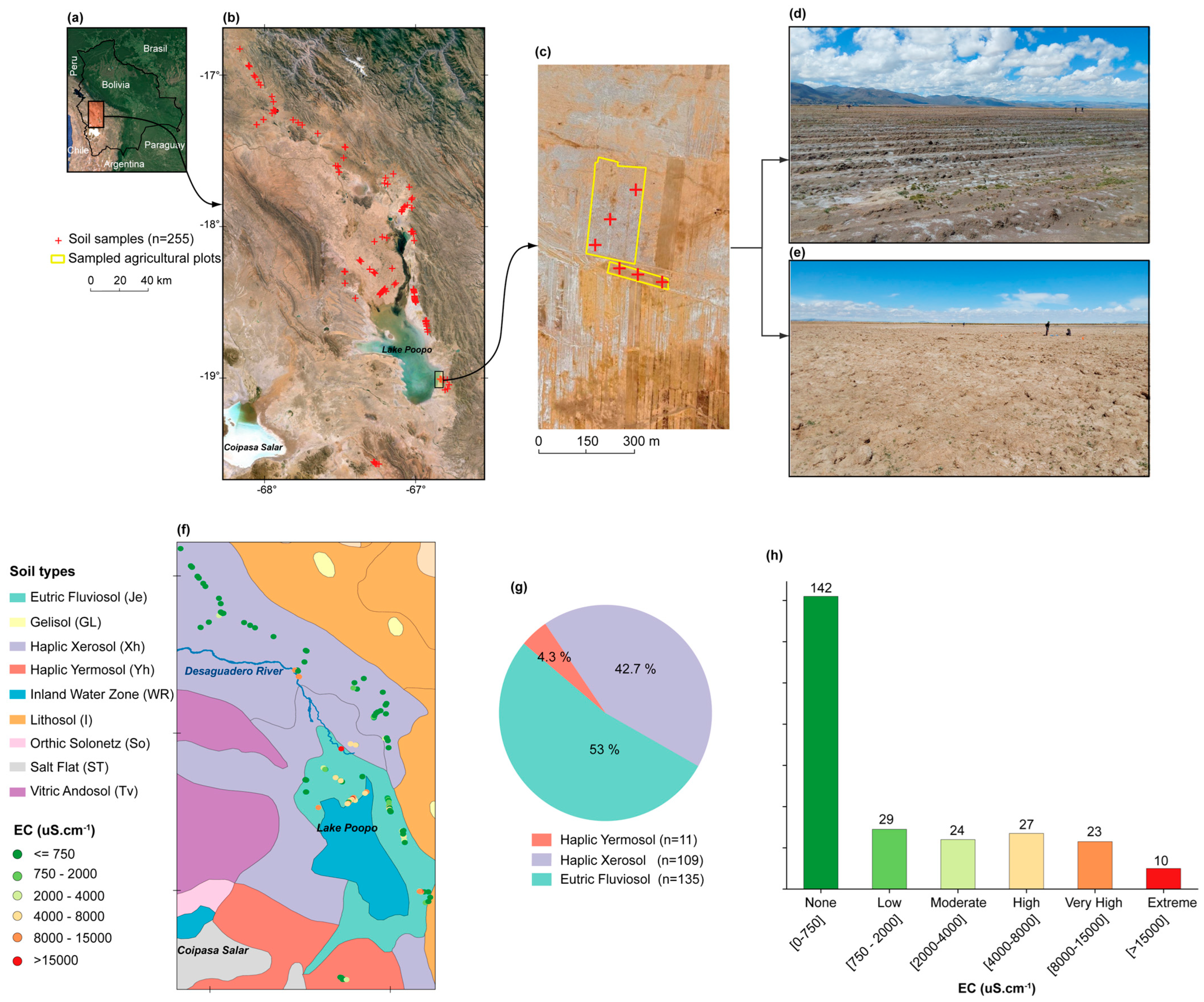 Remotesensing 16 03456 g001