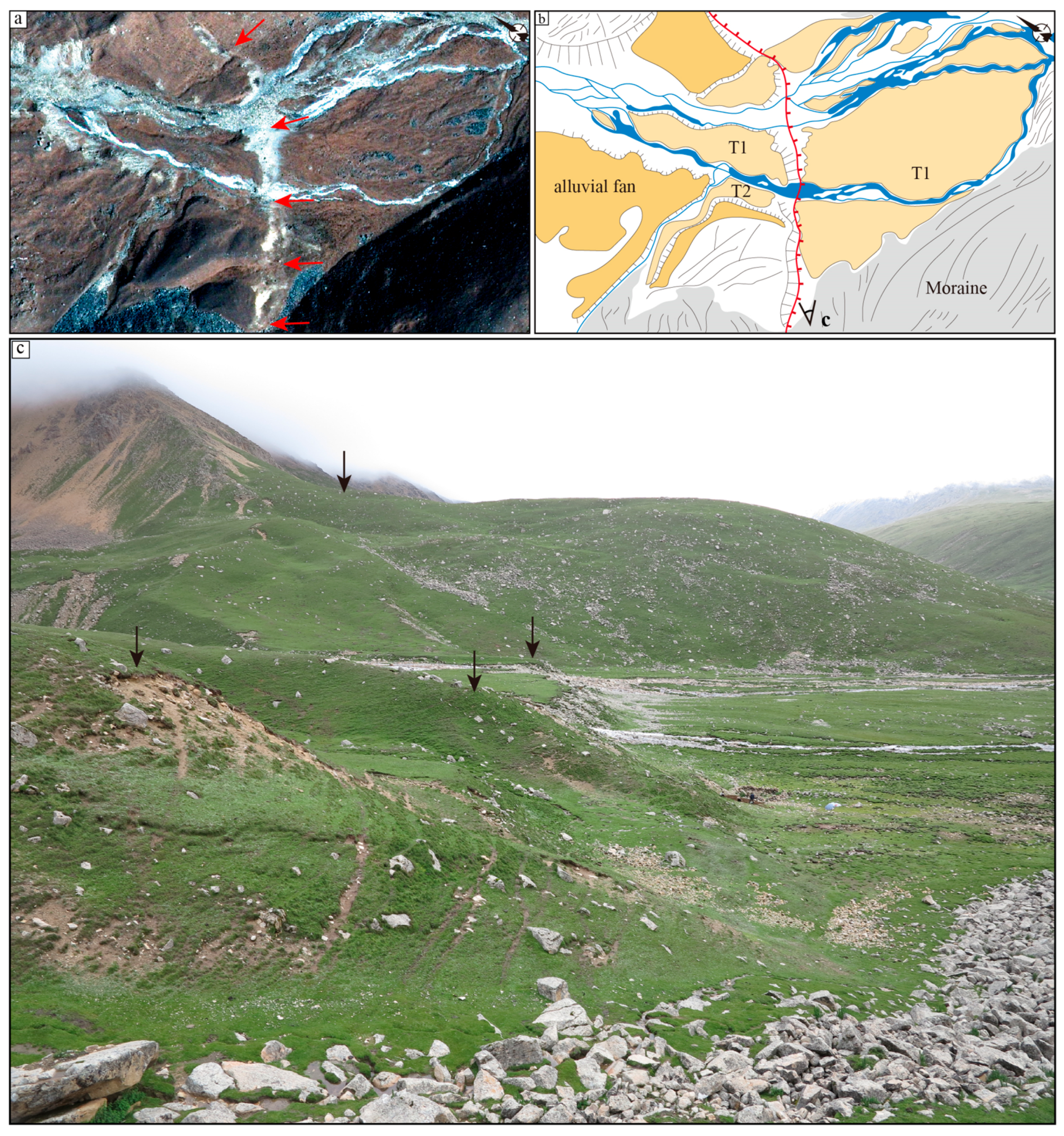 Remotesensing 16 03473 g005