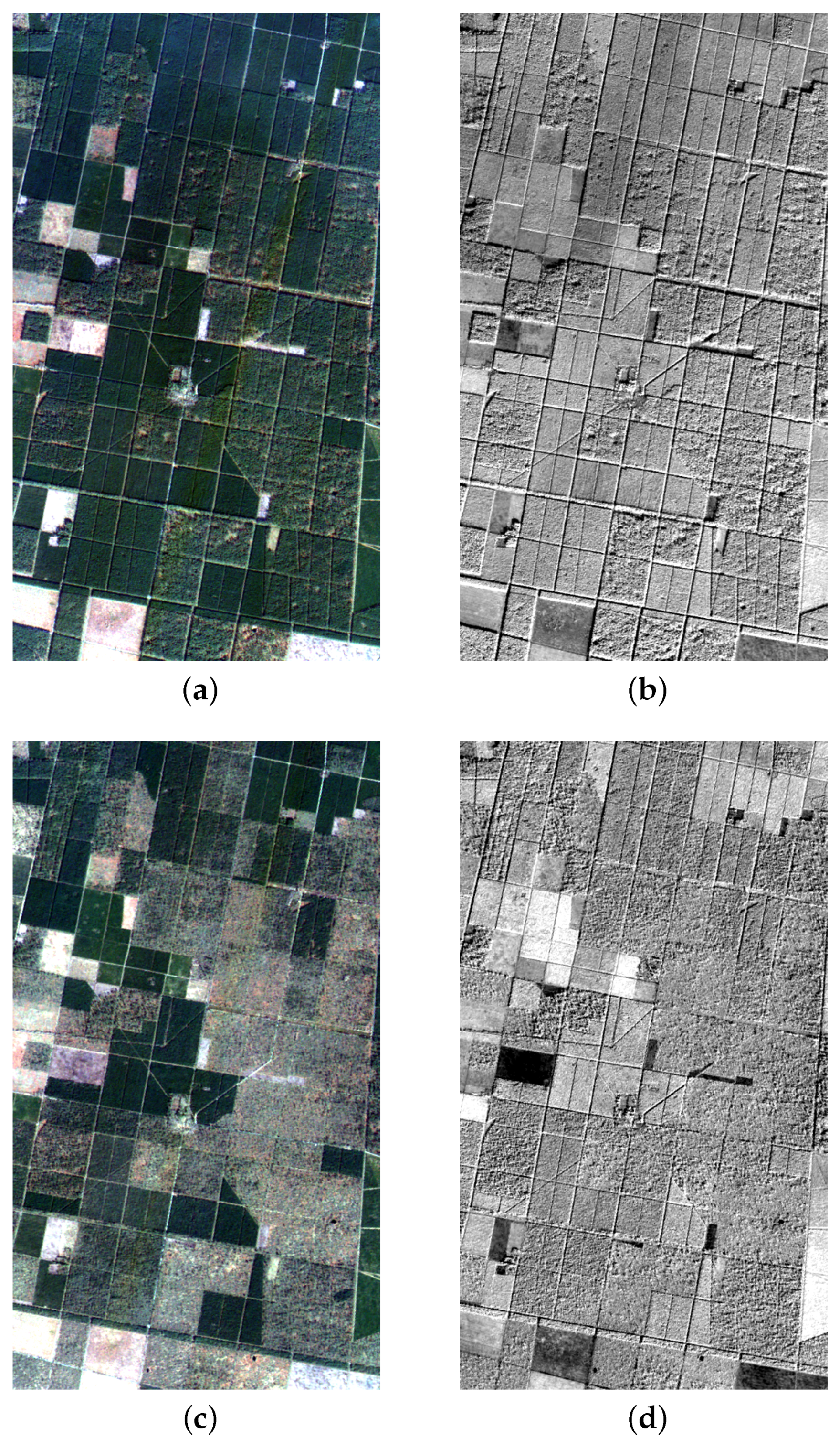 Remotesensing 16 03483 g002