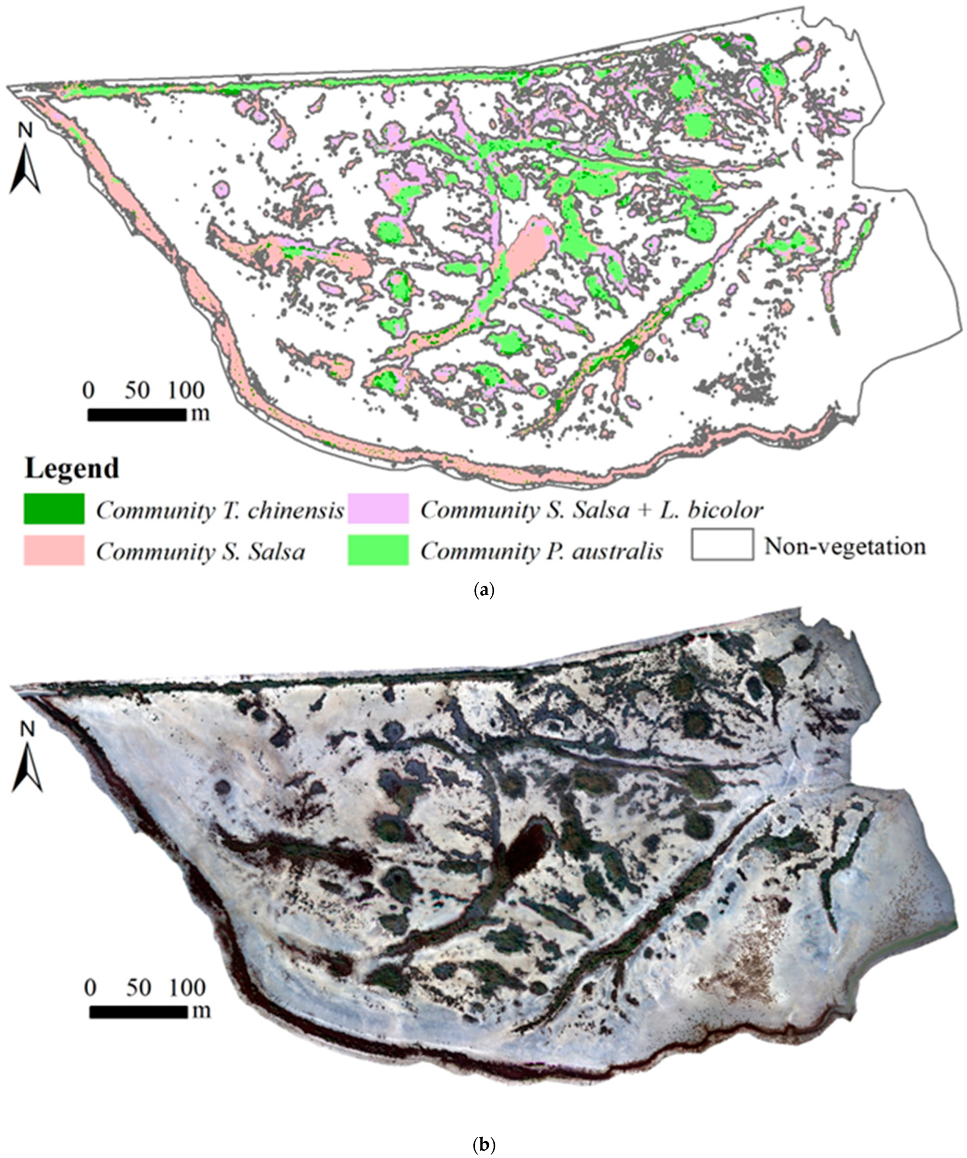 Remotesensing 16 03495 g004 Remotesensing 16 03495 g004