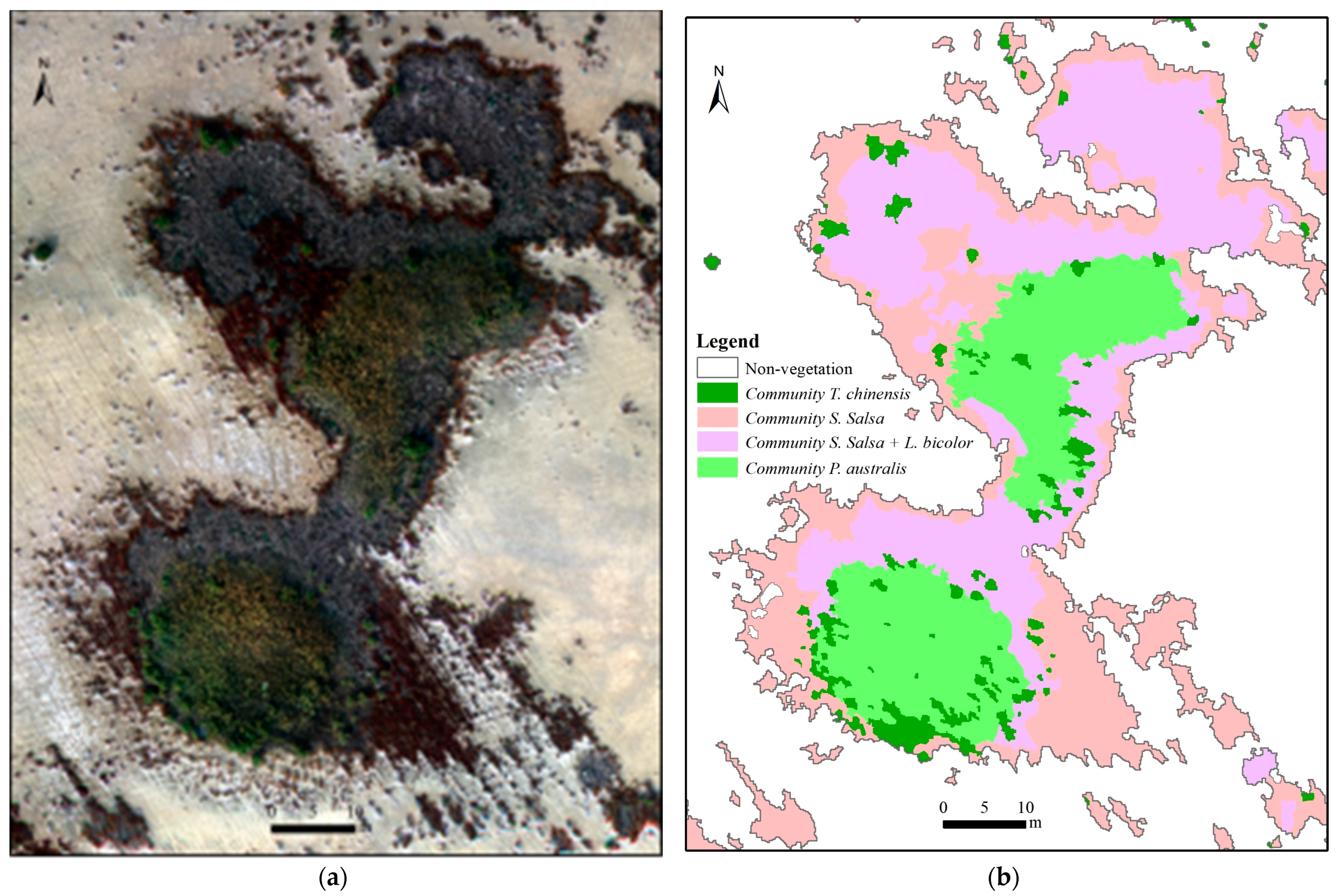 Remotesensing 16 03495 g006 Remotesensing 16 03495 g006