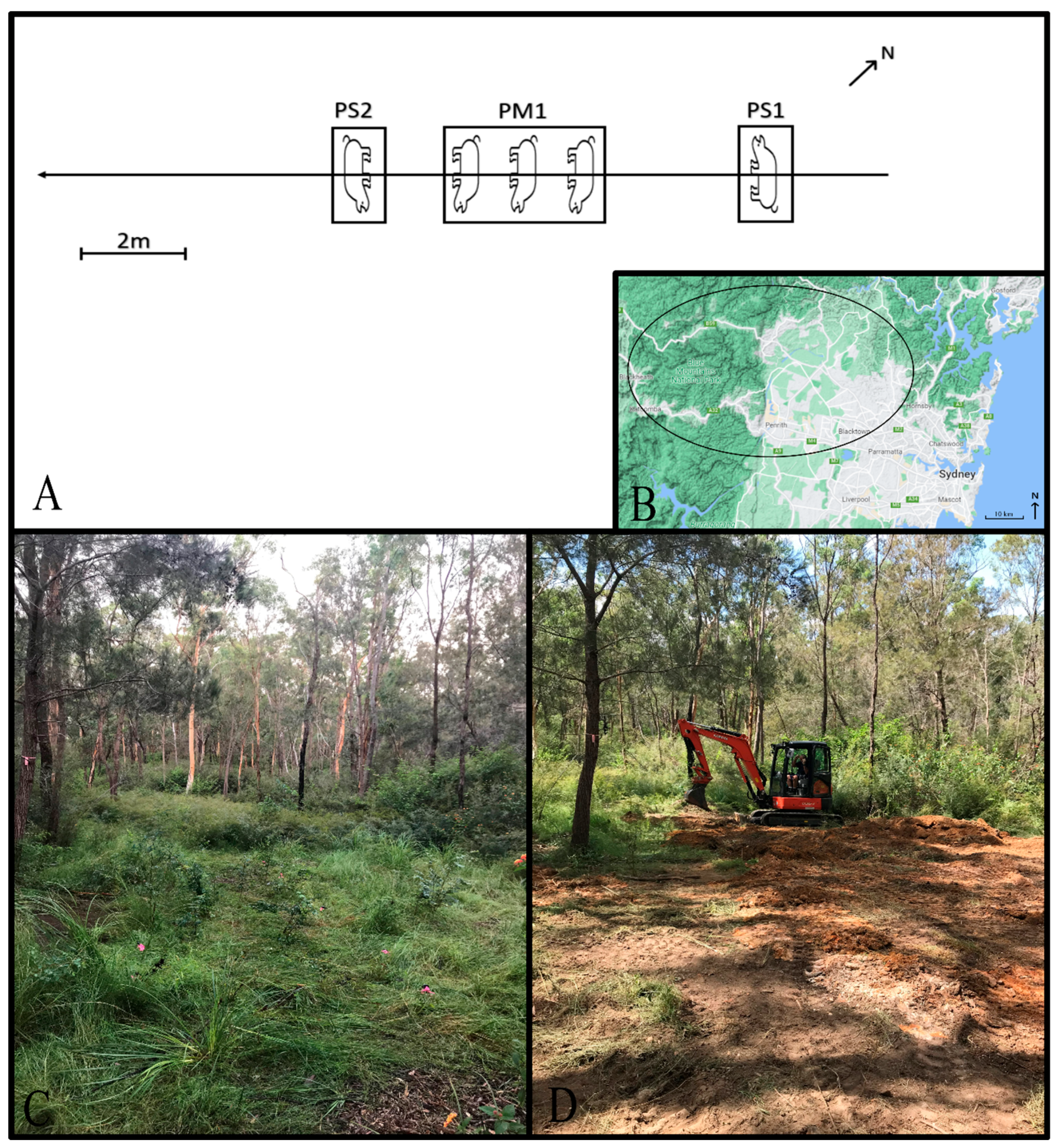 Remotesensing 16 03498 g001