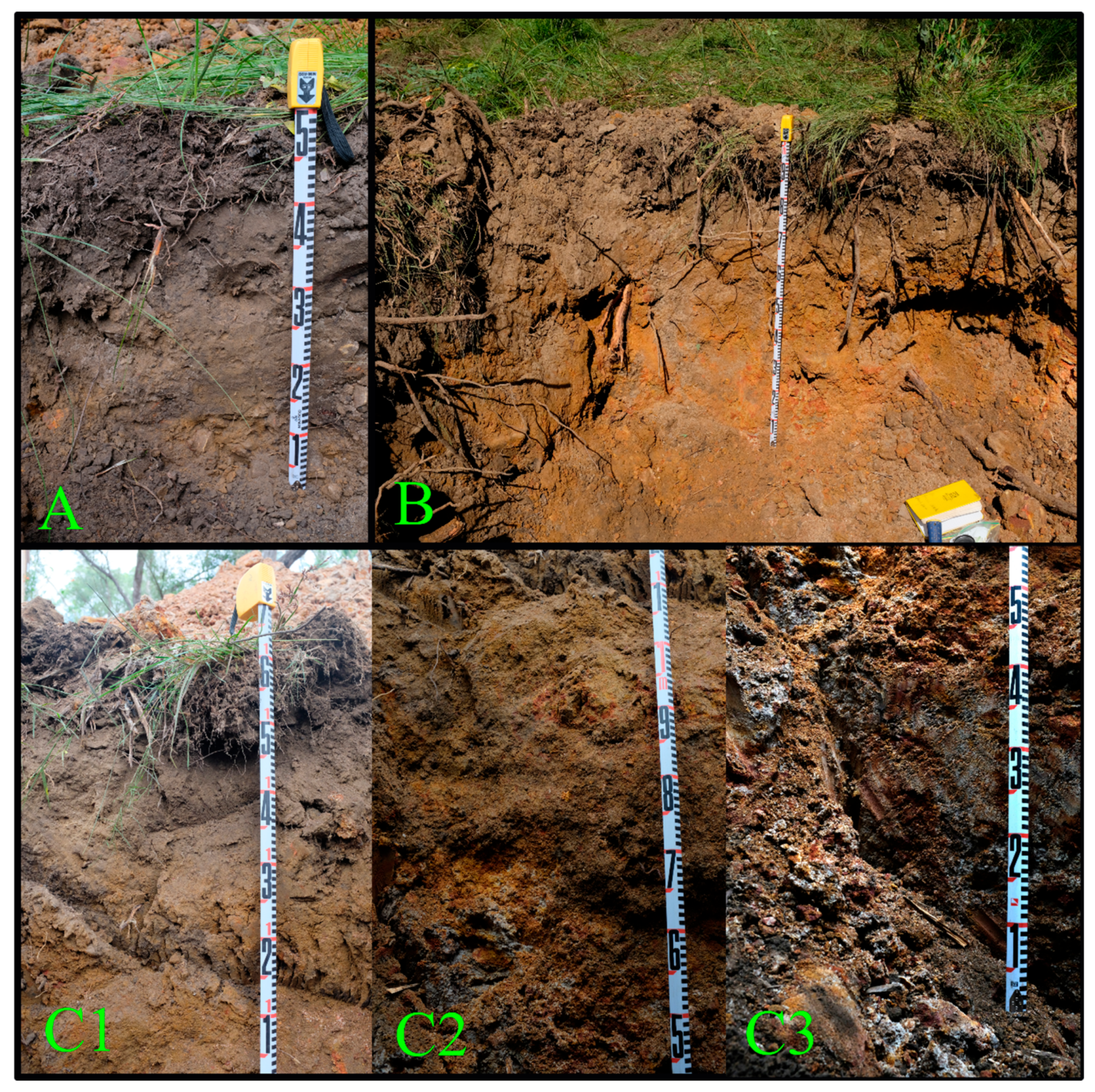 Remotesensing 16 03498 g011