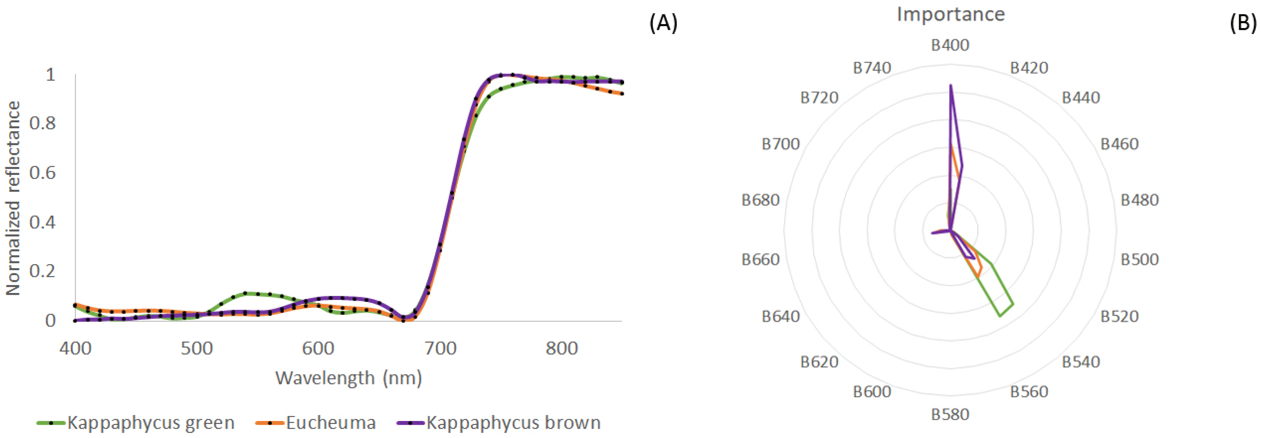Remotesensing 16 03502 g002